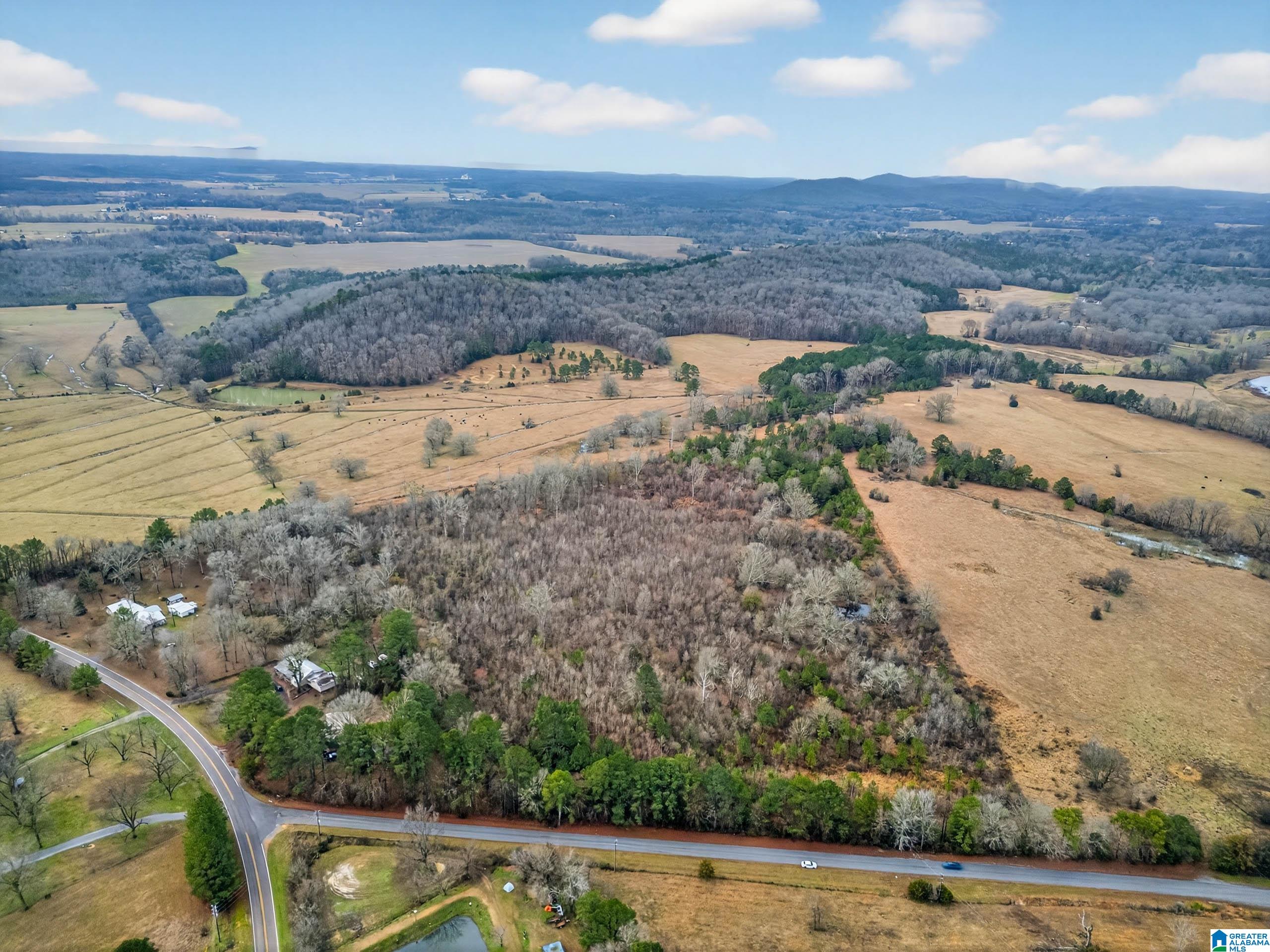 Homes for sale in Munford, AL | 0 Turner Mill Road E, Munford, AL 36268 | MLS# 21444577