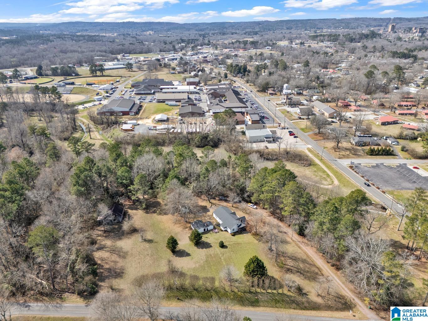 Homes for sale in Hanceville, AL | 301 Se Williams Avenue, Hanceville, AL 35077 | MLS# 21444587