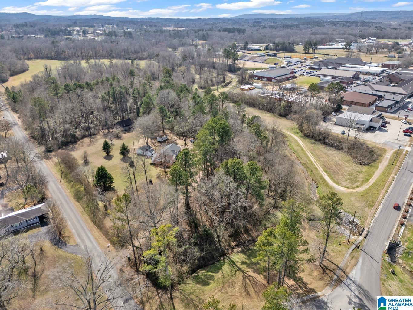 Homes for sale in Hanceville, AL | 301 Se Williams Avenue, Hanceville, AL 35077 | MLS# 21444587