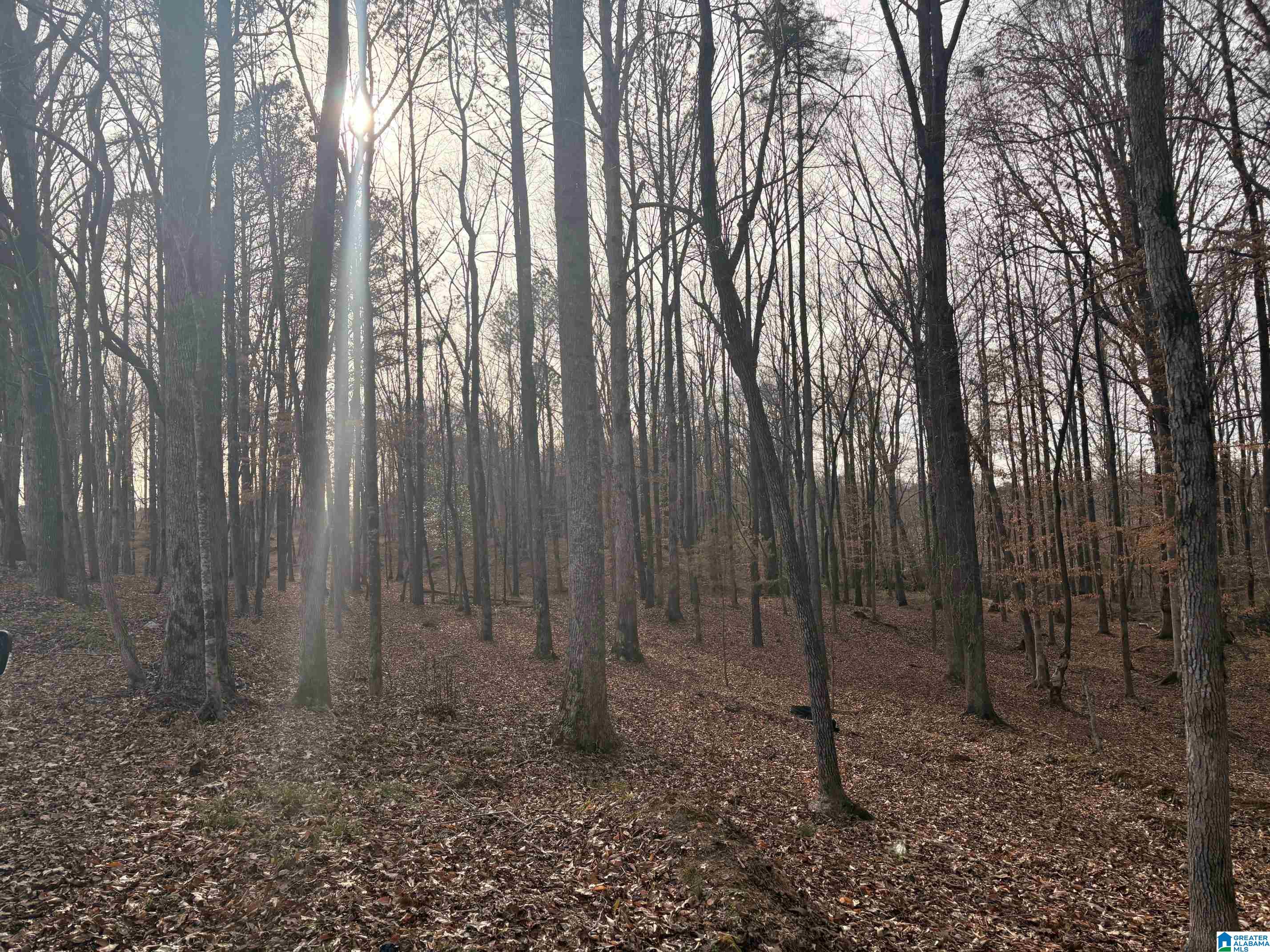 Homes for sale in West Blocton, AL | 000002 Truman Aldrich Parkway, West Blocton, AL 35184 | MLS# 21444609