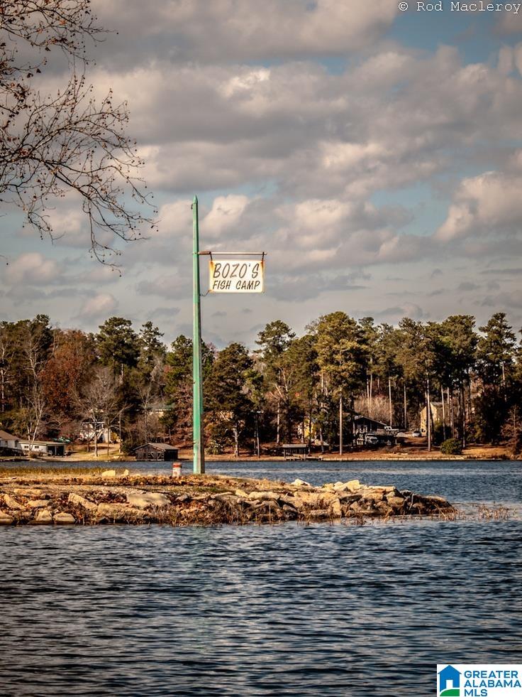 Homes for sale in Shelby, AL | 105 3rd Avenue, Shelby, AL 35143 | MLS# 21444637