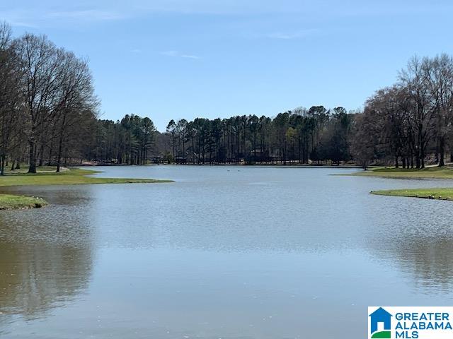 Homes for sale in Alabaster, AL | 199 Red Bay Dr, Alabaster, AL 35114 | MLS# 21444651