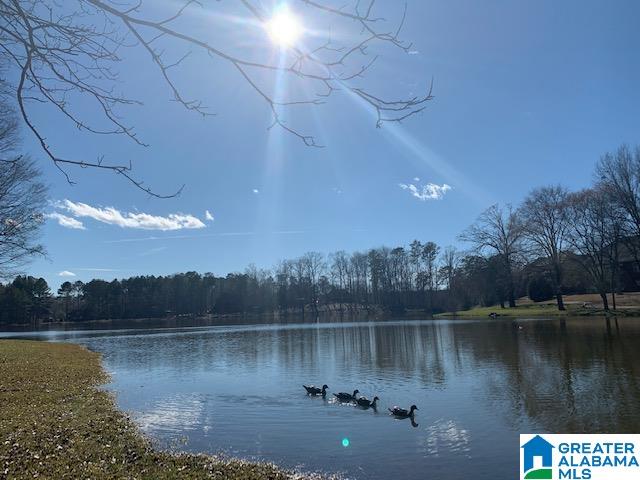 Homes for sale in Alabaster, AL | 199 Red Bay Dr, Alabaster, AL 35114 | MLS# 21444651