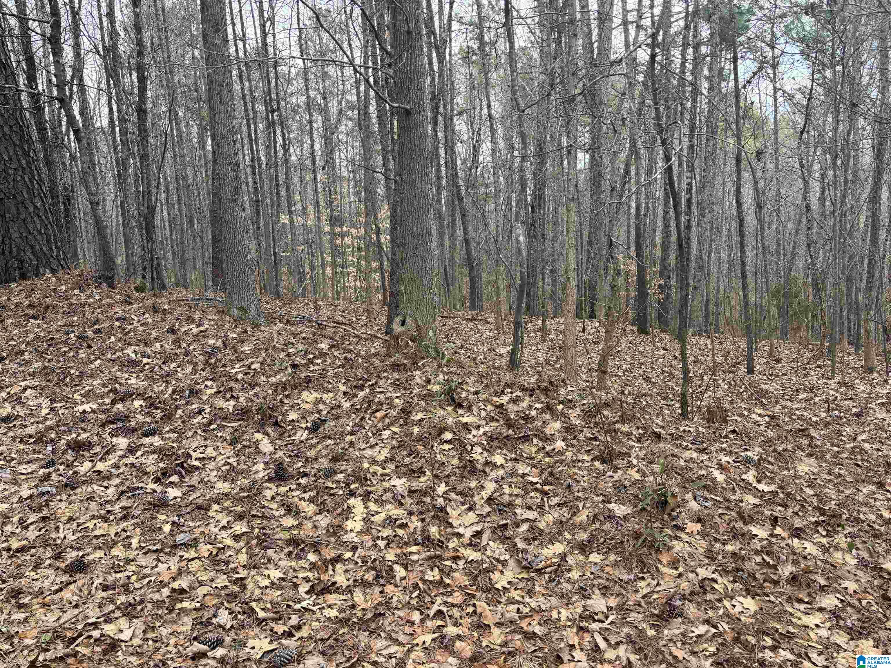 Homes for sale in Dora, AL | 6901 Sellers Road, Dora, AL 35062 | MLS# 21444681