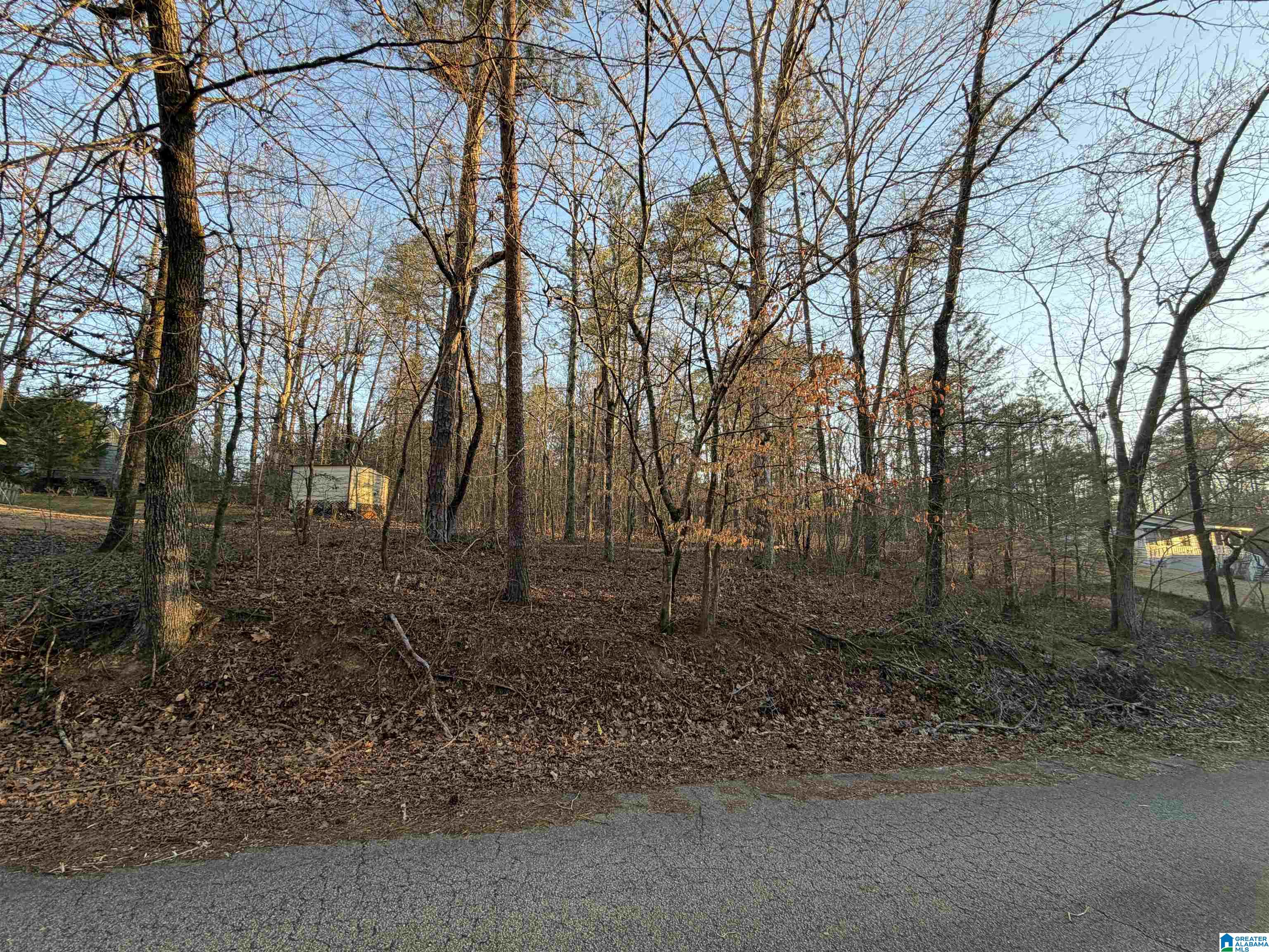 Homes for sale in Lakeview, AL | Richard Dr, Lakeview, AL 35111 | MLS# 21444695