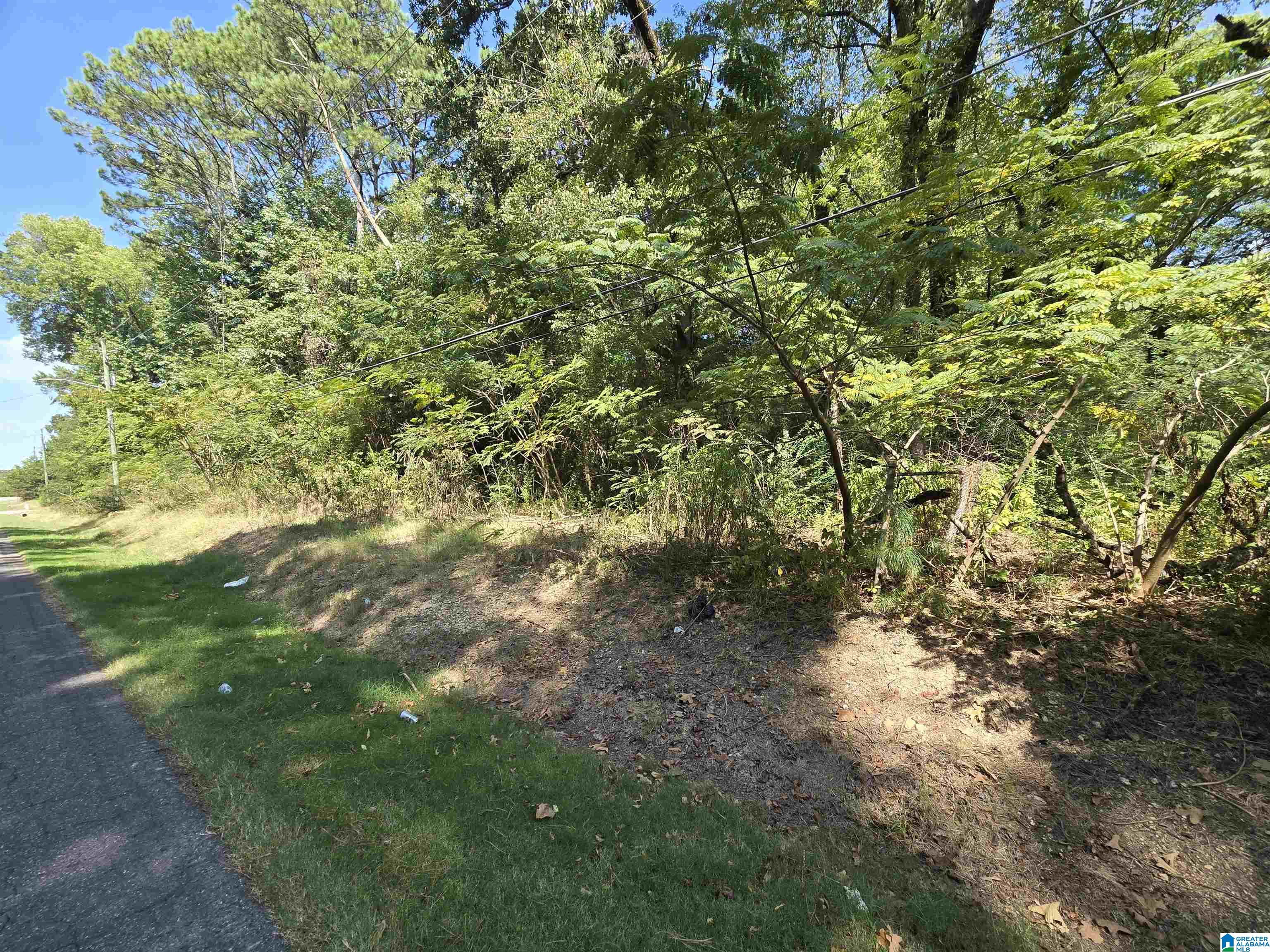 Photo 3 of Land for sale at 9601 Bryant Ave, Birmingham, AL 35217 | MLS# 21444699 | Listing updated on 2026-08-31