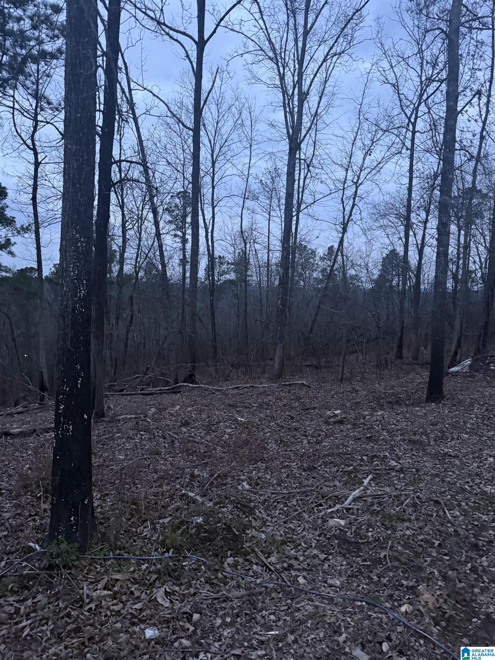 Homes for sale in Ohatchee, AL | 135 Big Chief, Ohatchee, AL 36271 | MLS# 21444704