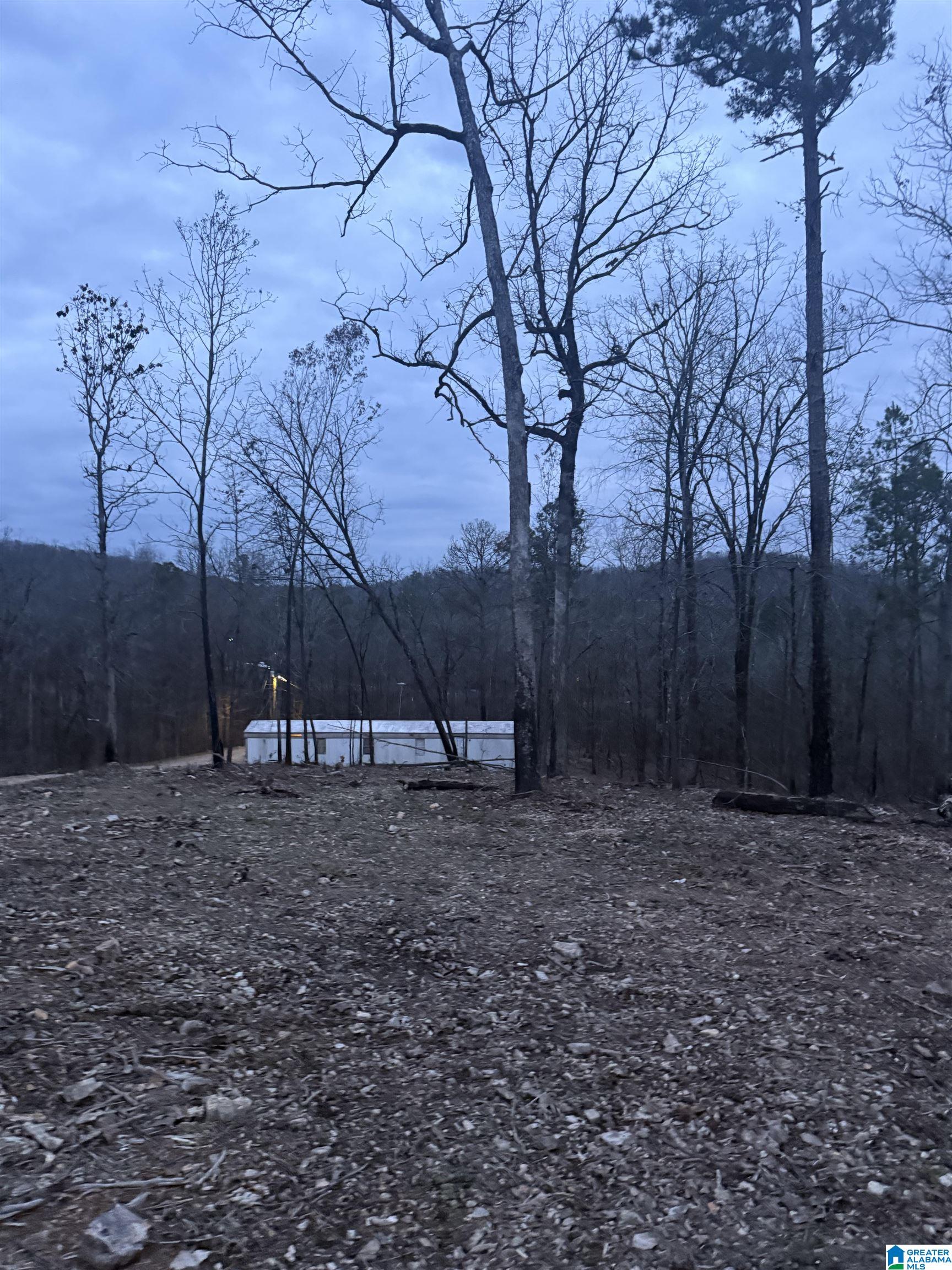 Homes for sale in Ohatchee, AL | 135 Big Chief, Ohatchee, AL 36271 | MLS# 21444704