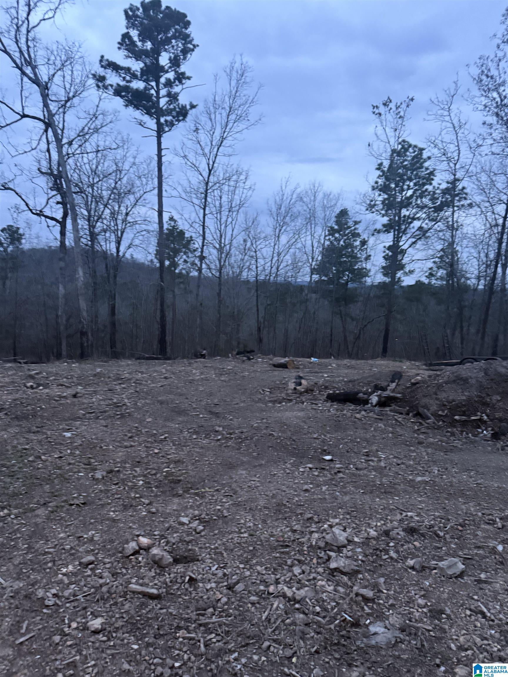 Homes for sale in Ohatchee, AL | 135 Big Chief, Ohatchee, AL 36271 | MLS# 21444704