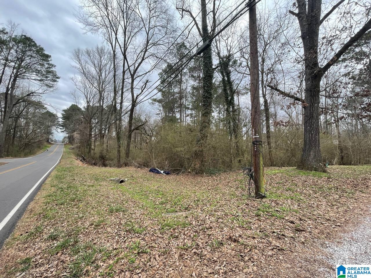 Homes for sale in Kimberly, AL | 8730 Old Hwy 31, Kimberly, AL 35091 | MLS# 21444710