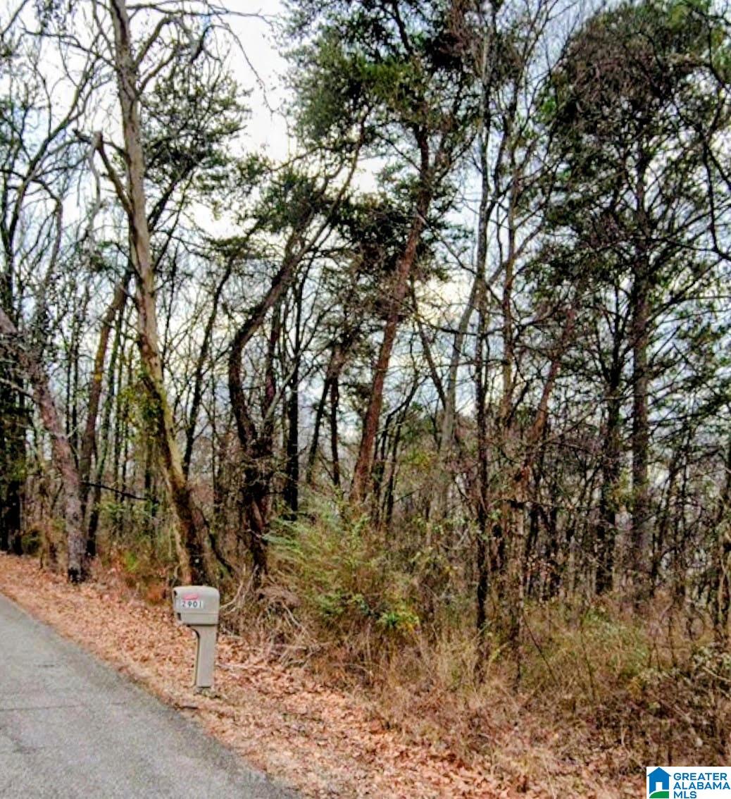 Photo 2 of Land for sale at 2908 29th Street Sw, Birmingham, AL 35211 | MLS# 21444725 | Listing updated on 2026-05-15