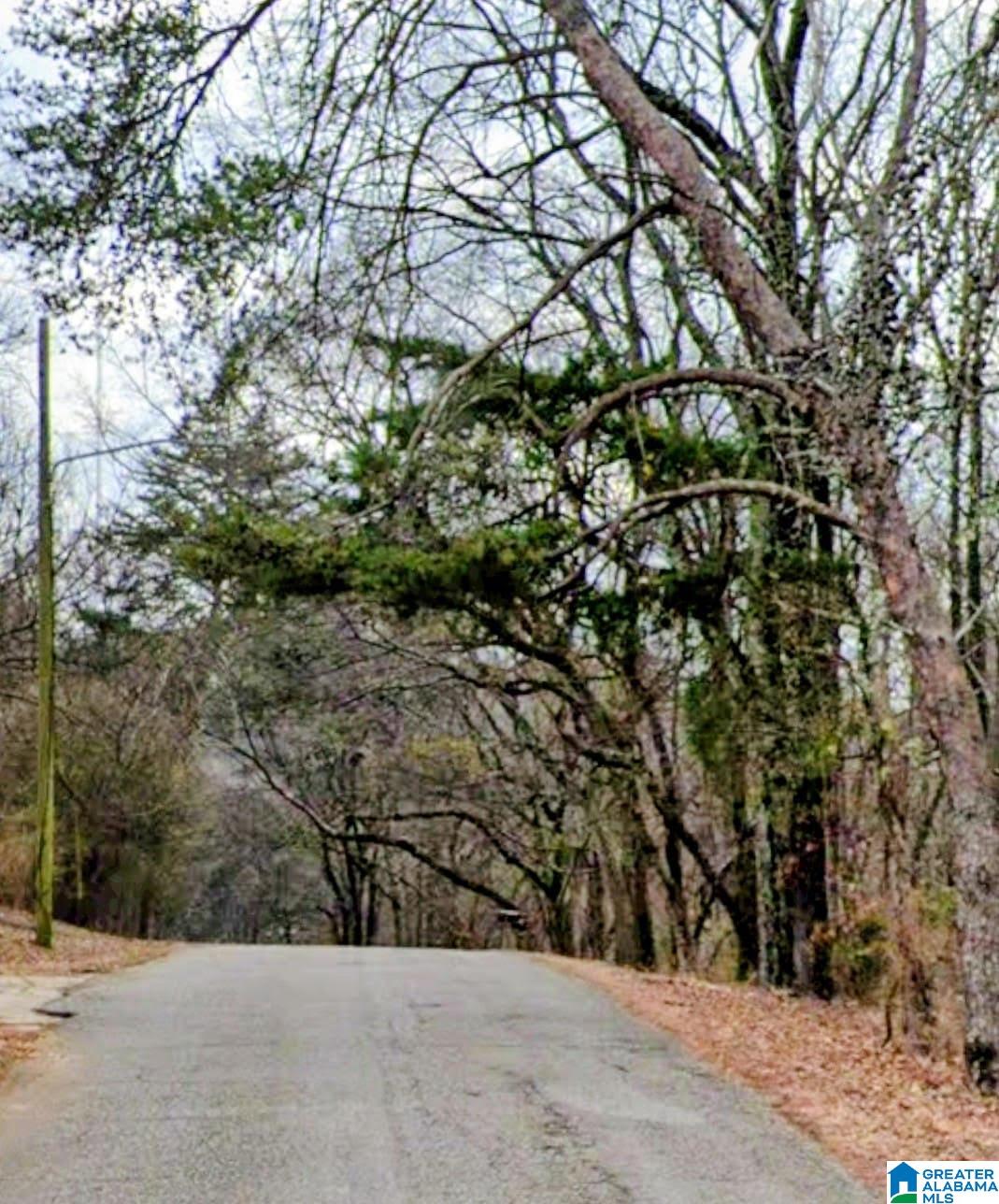Photo 3 of Land for sale at 2908 29th Street Sw, Birmingham, AL 35211 | MLS# 21444725 | Listing updated on 2026-05-15