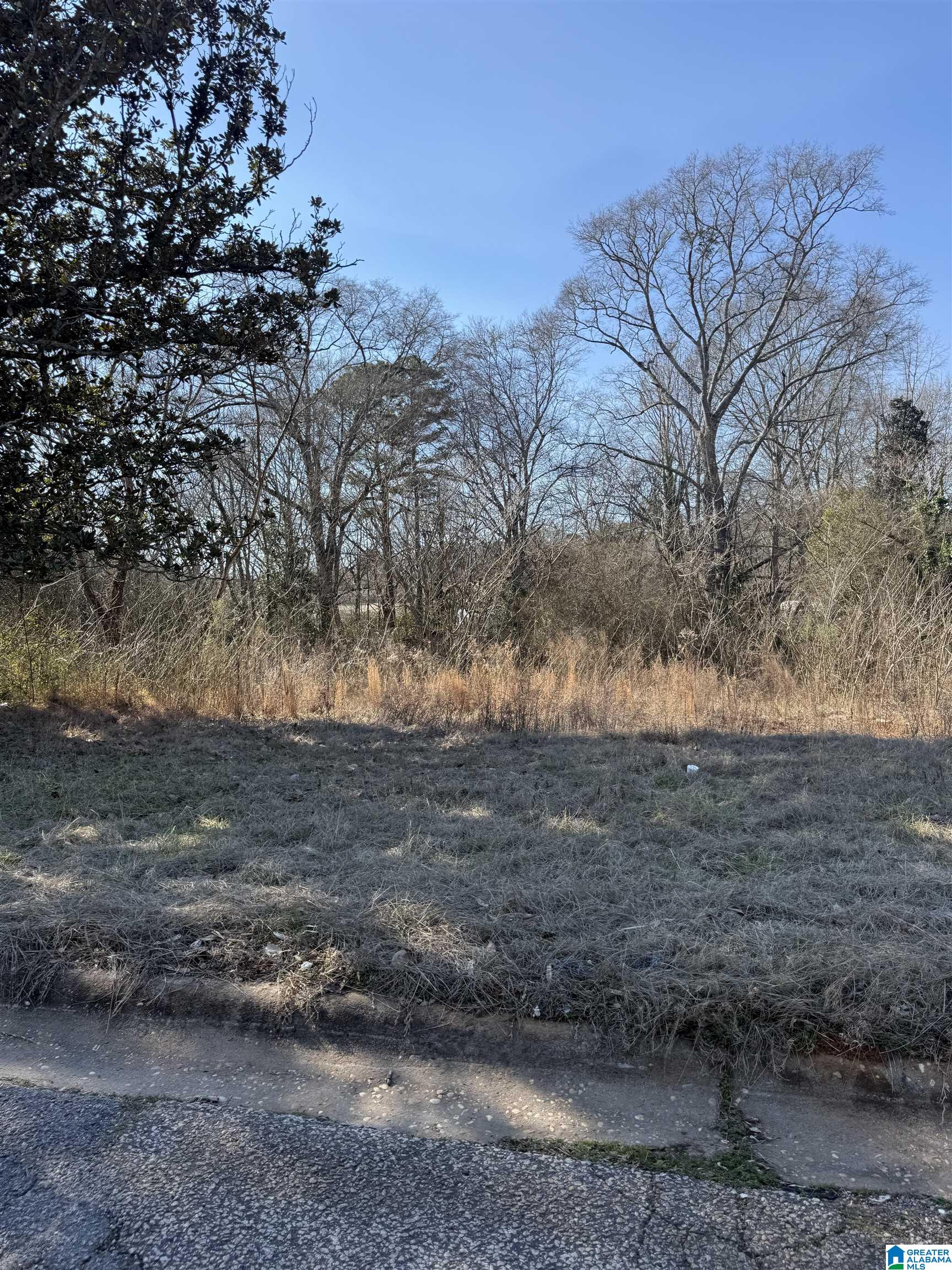 Homes for sale in Roanoke, AL | 625 West Avenue, Roanoke, AL 36274 | MLS# 21444743