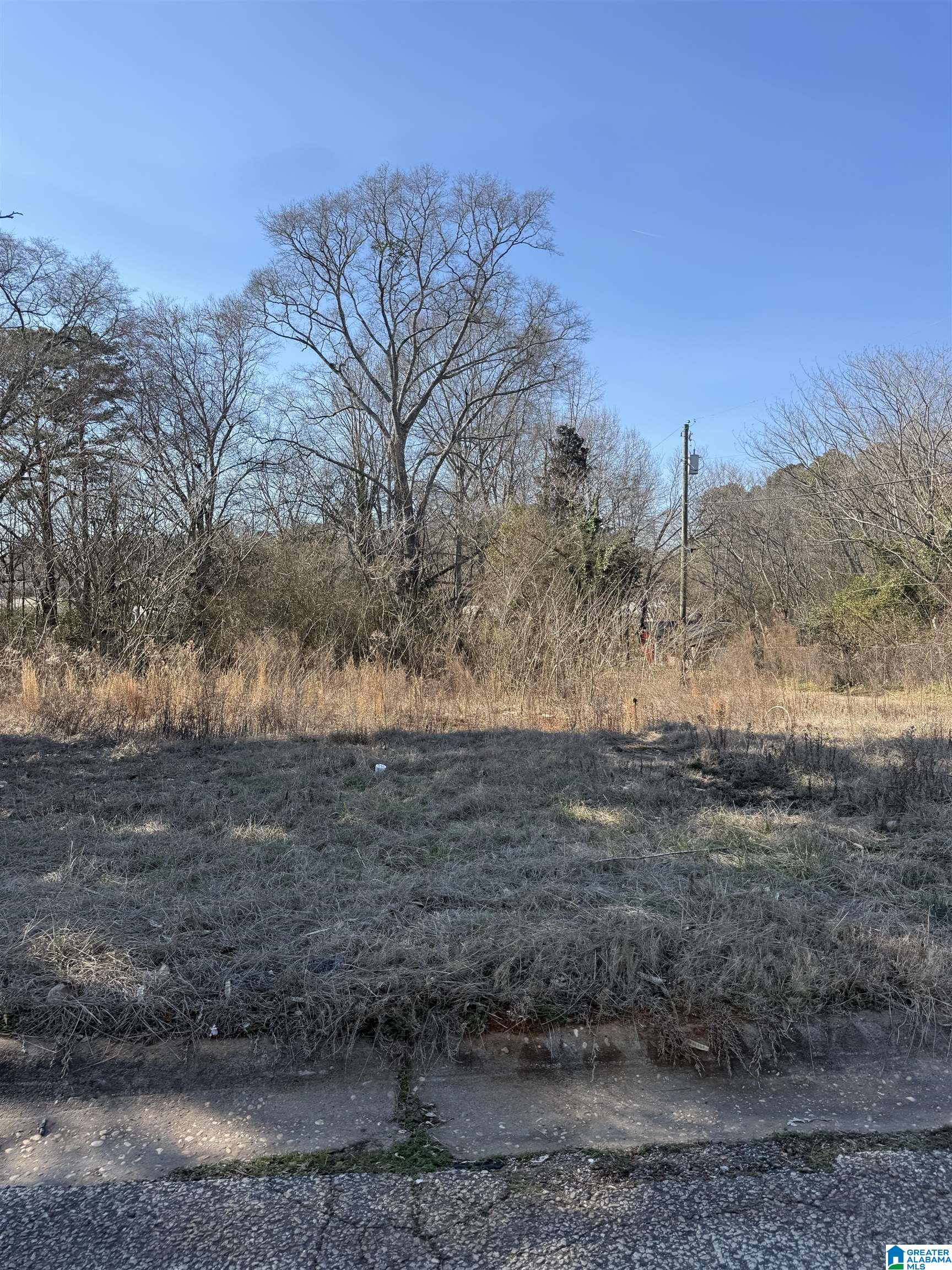 Homes for sale in Roanoke, AL | 625 West Avenue, Roanoke, AL 36274 | MLS# 21444743