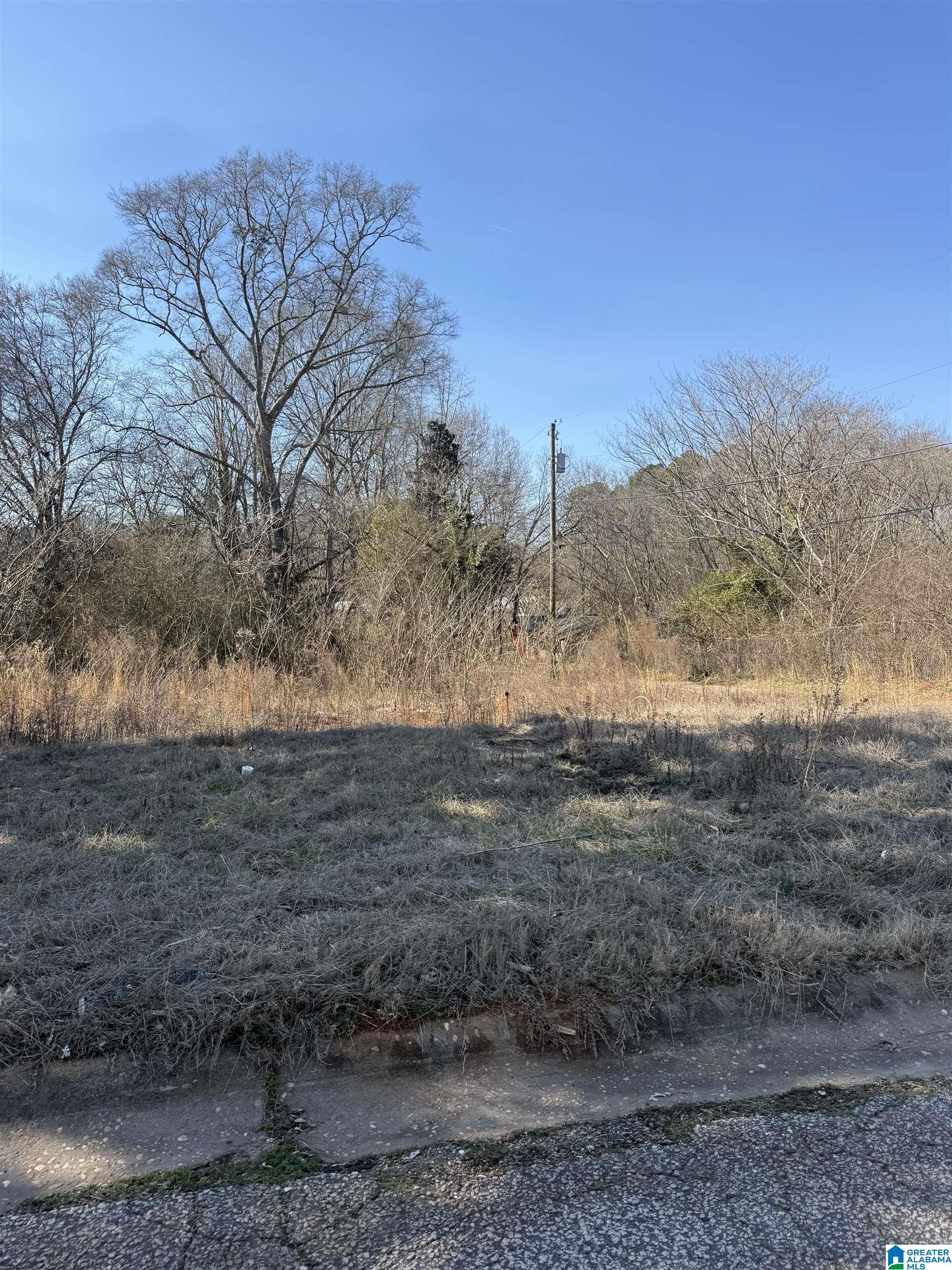 Homes for sale in Roanoke, AL | 625 West Avenue, Roanoke, AL 36274 | MLS# 21444743