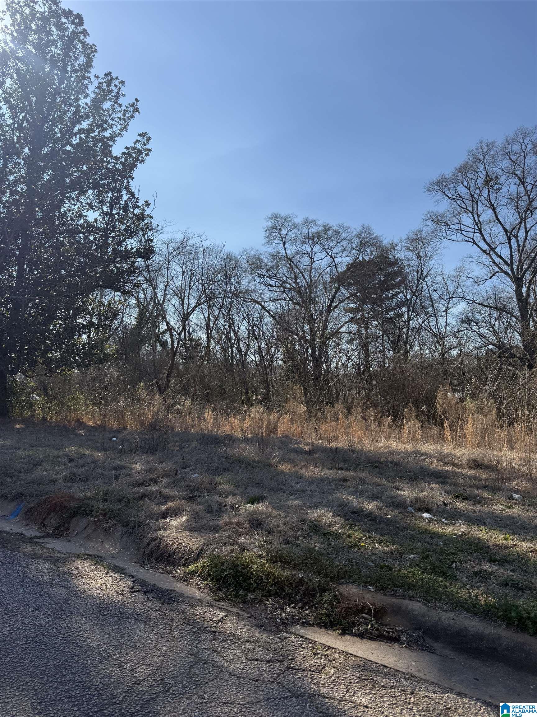 Homes for sale in Roanoke, AL | 625 West Avenue, Roanoke, AL 36274 | MLS# 21444743