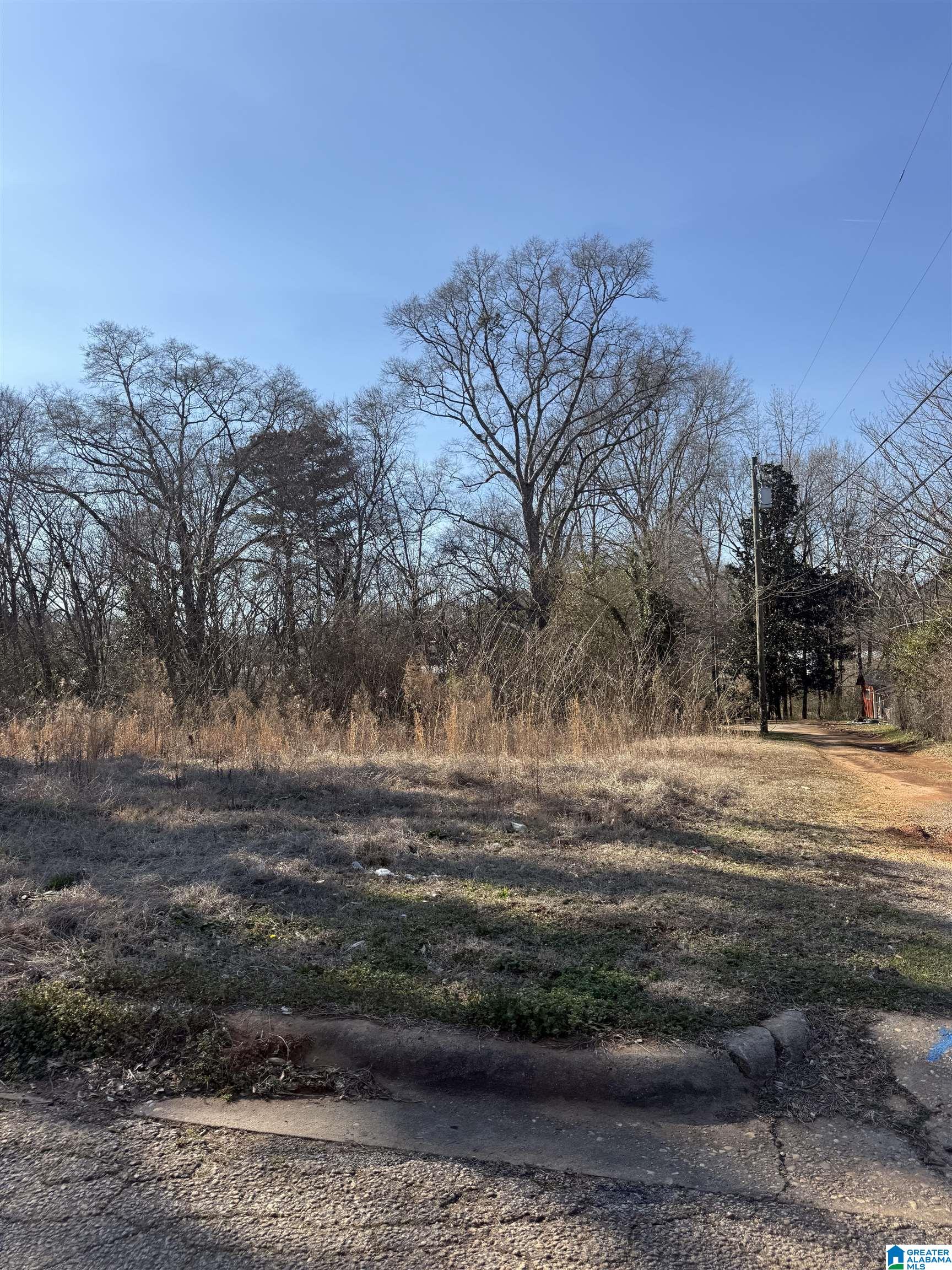 Homes for sale in Roanoke, AL | 625 West Avenue, Roanoke, AL 36274 | MLS# 21444743