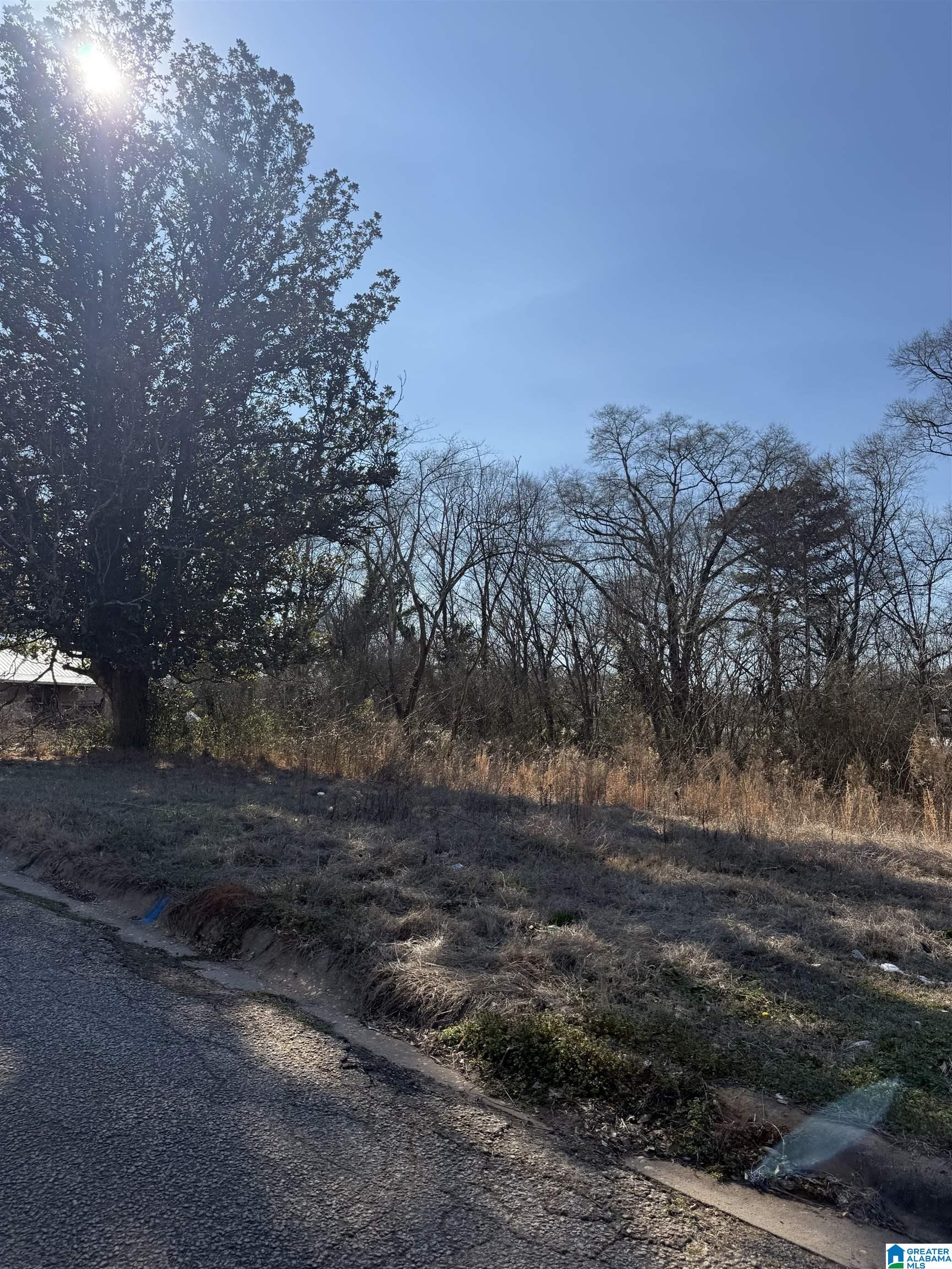 Homes for sale in Roanoke, AL | 625 West Avenue, Roanoke, AL 36274 | MLS# 21444743