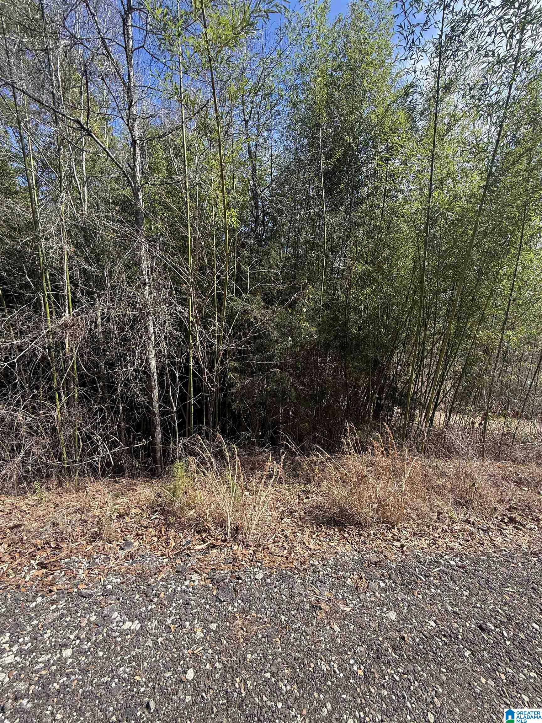 Homes for sale in Wedowee, AL | 0 County Road 264, Wedowee, AL 36278 | MLS# 21444744