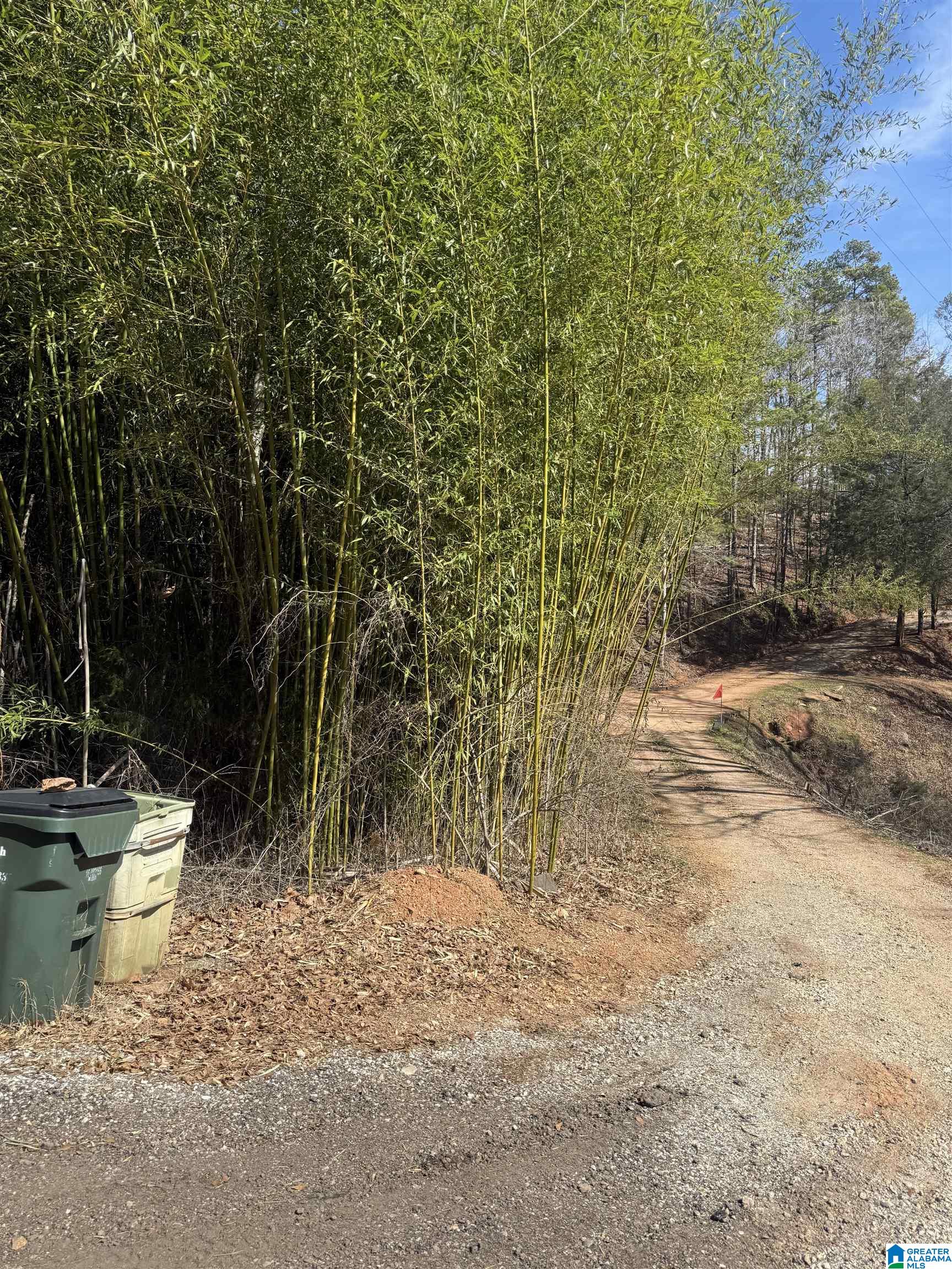 Homes for sale in Wedowee, AL | 0 County Road 264, Wedowee, AL 36278 | MLS# 21444744