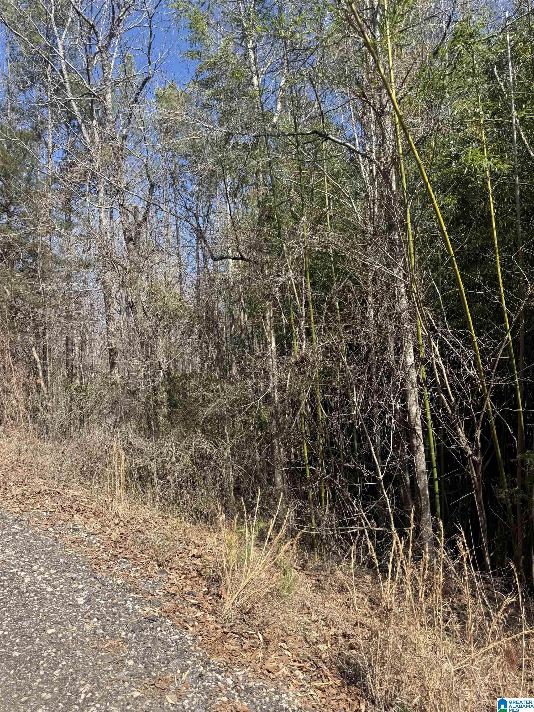 Homes for sale in Wedowee, AL | 0 County Road 264, Wedowee, AL 36278 | MLS# 21444744