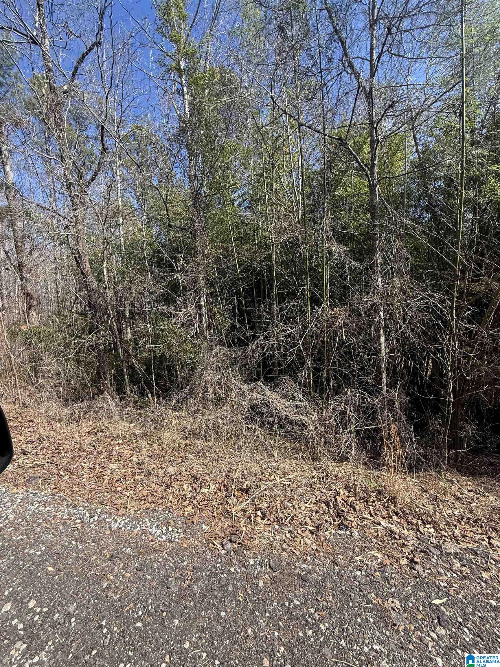 Homes for sale in Wedowee, AL | 0 County Road 264, Wedowee, AL 36278 | MLS# 21444744