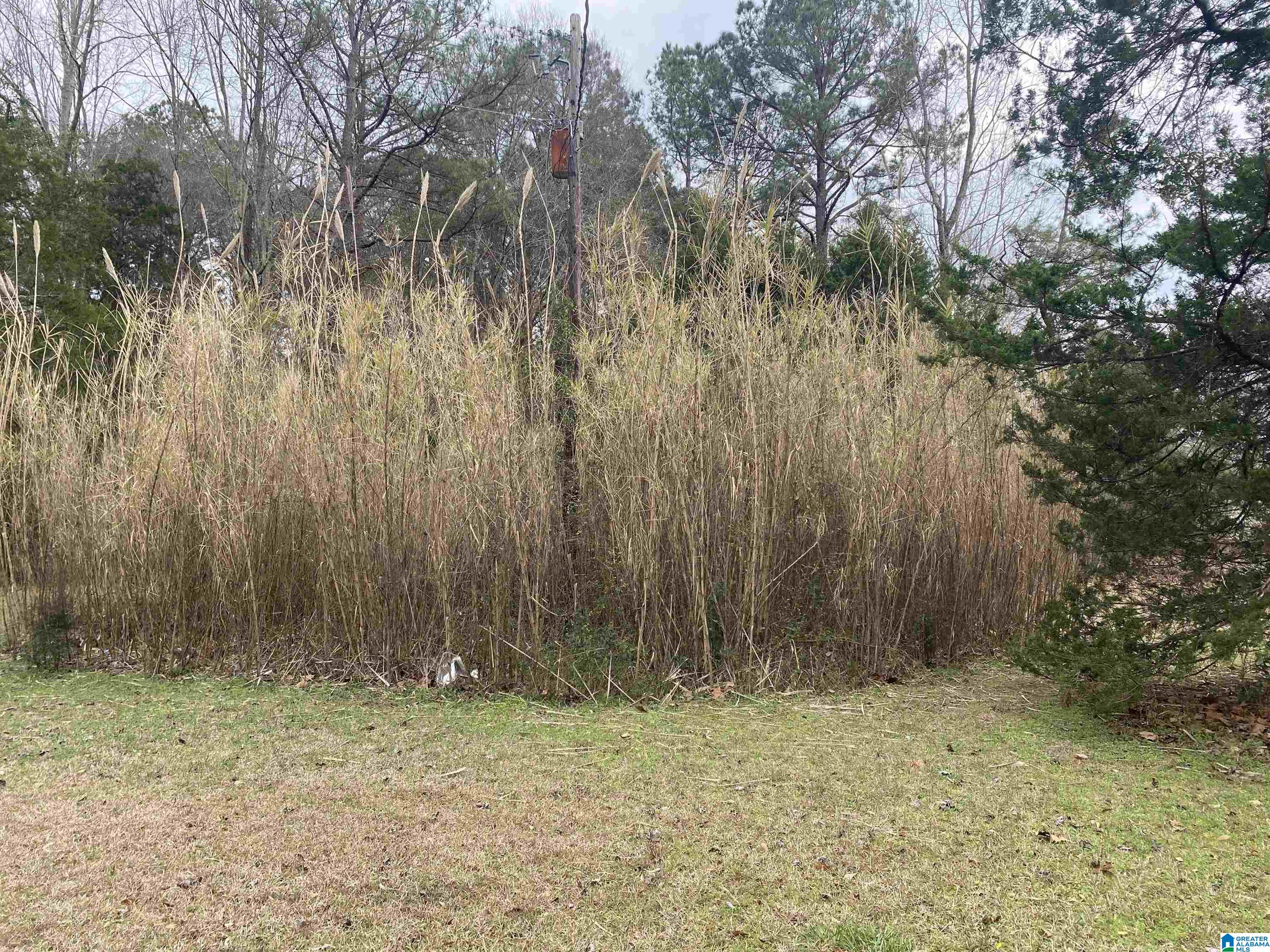 Homes for sale in Tallassee, AL | 2082 S Tallassee Dr, Tallassee, AL 36078 | MLS# 21444747