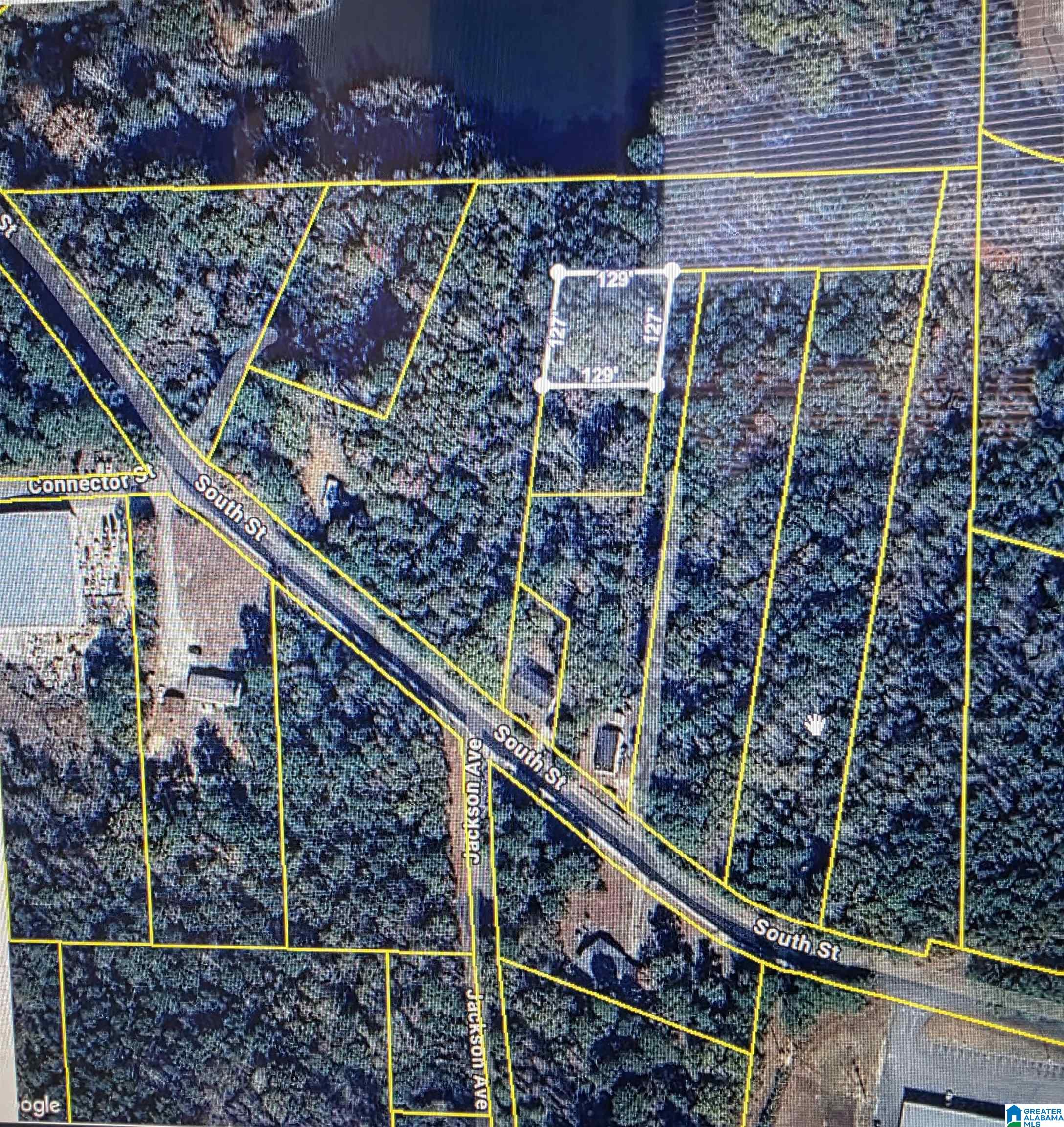 Homes for sale in Roanoke, AL | 0 South Street, Roanoke, AL 36274 | MLS# 21444750