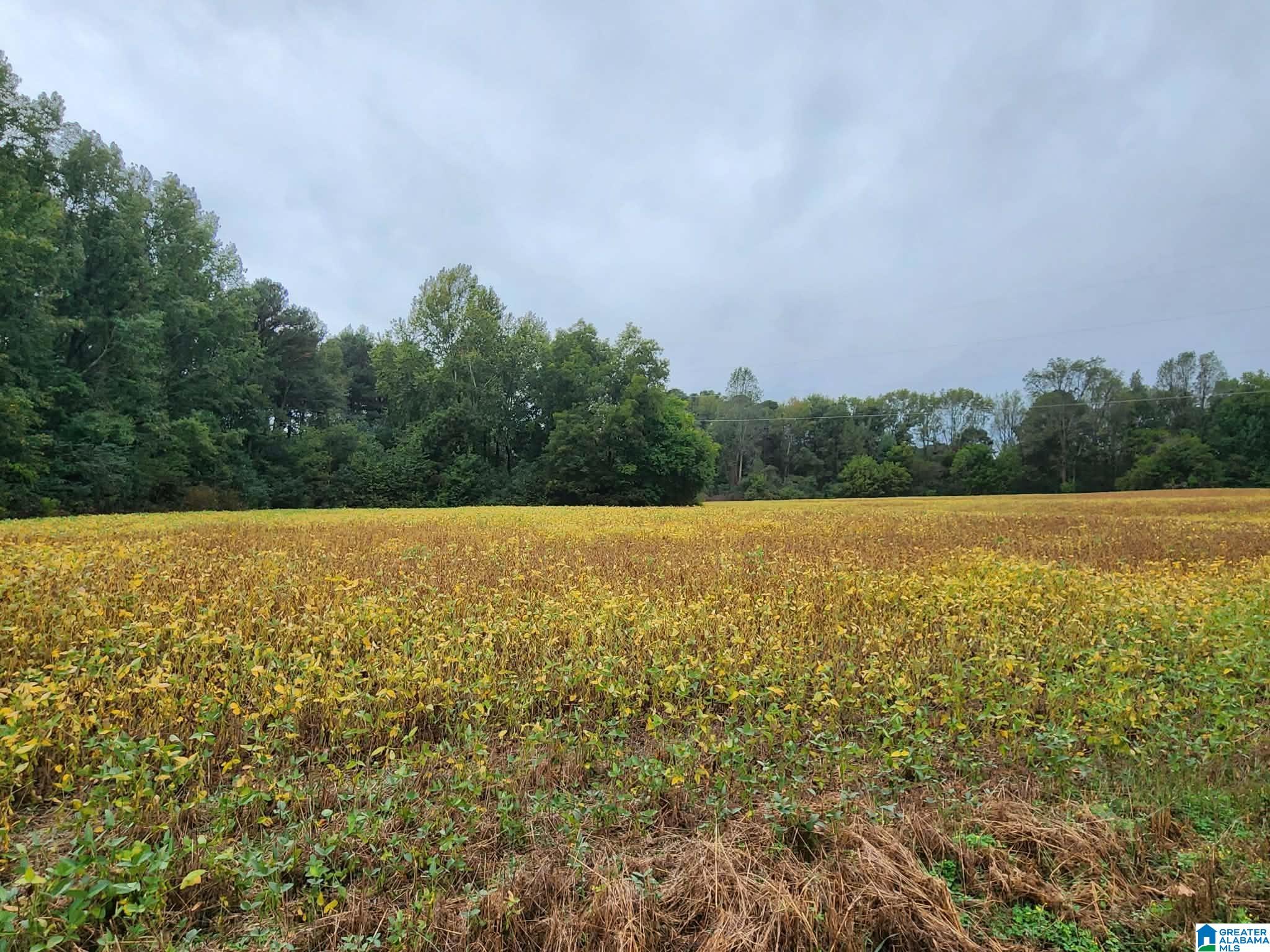 Homes for sale in Vinemont, AL | 131 County Road 1228, Vinemont, AL 35179 | MLS# 21444751