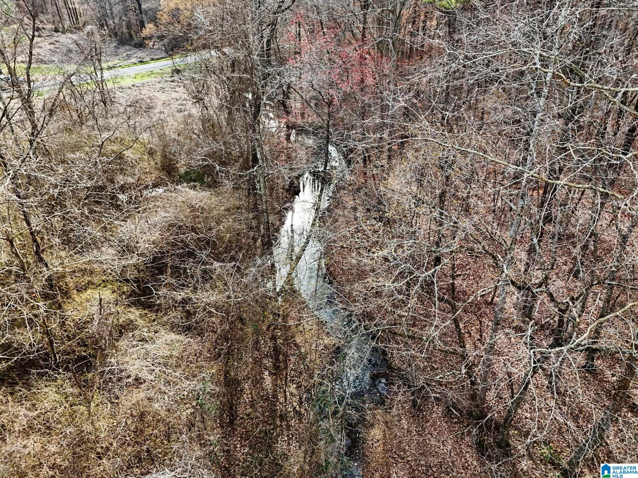 Homes for sale in Pinson, AL | 7296 Goodner Mountain Road, Pinson, AL 35126 | MLS# 21444783