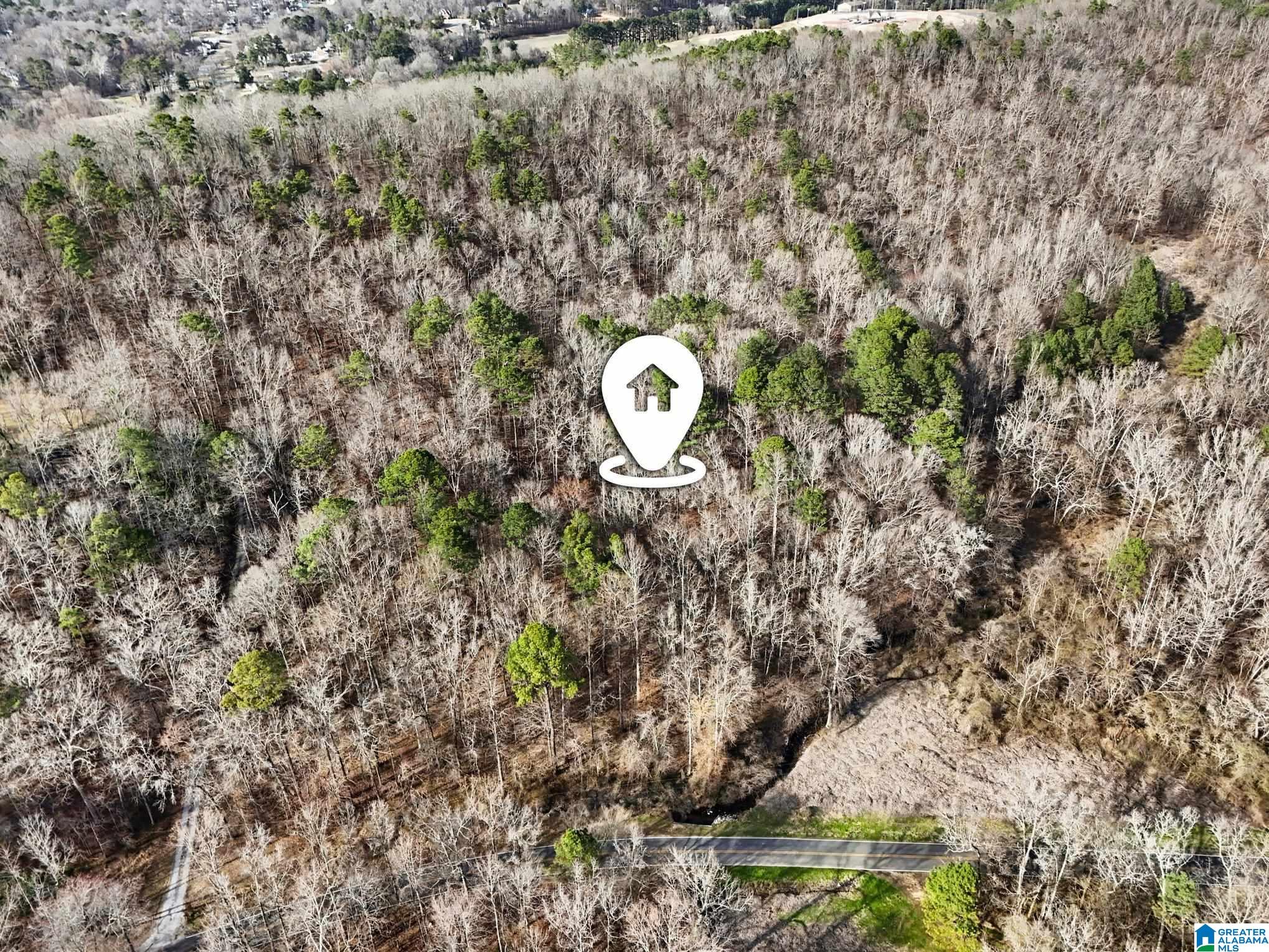 Homes for sale in Pinson, AL | 7296 Goodner Mountain Road, Pinson, AL 35126 | MLS# 21444783