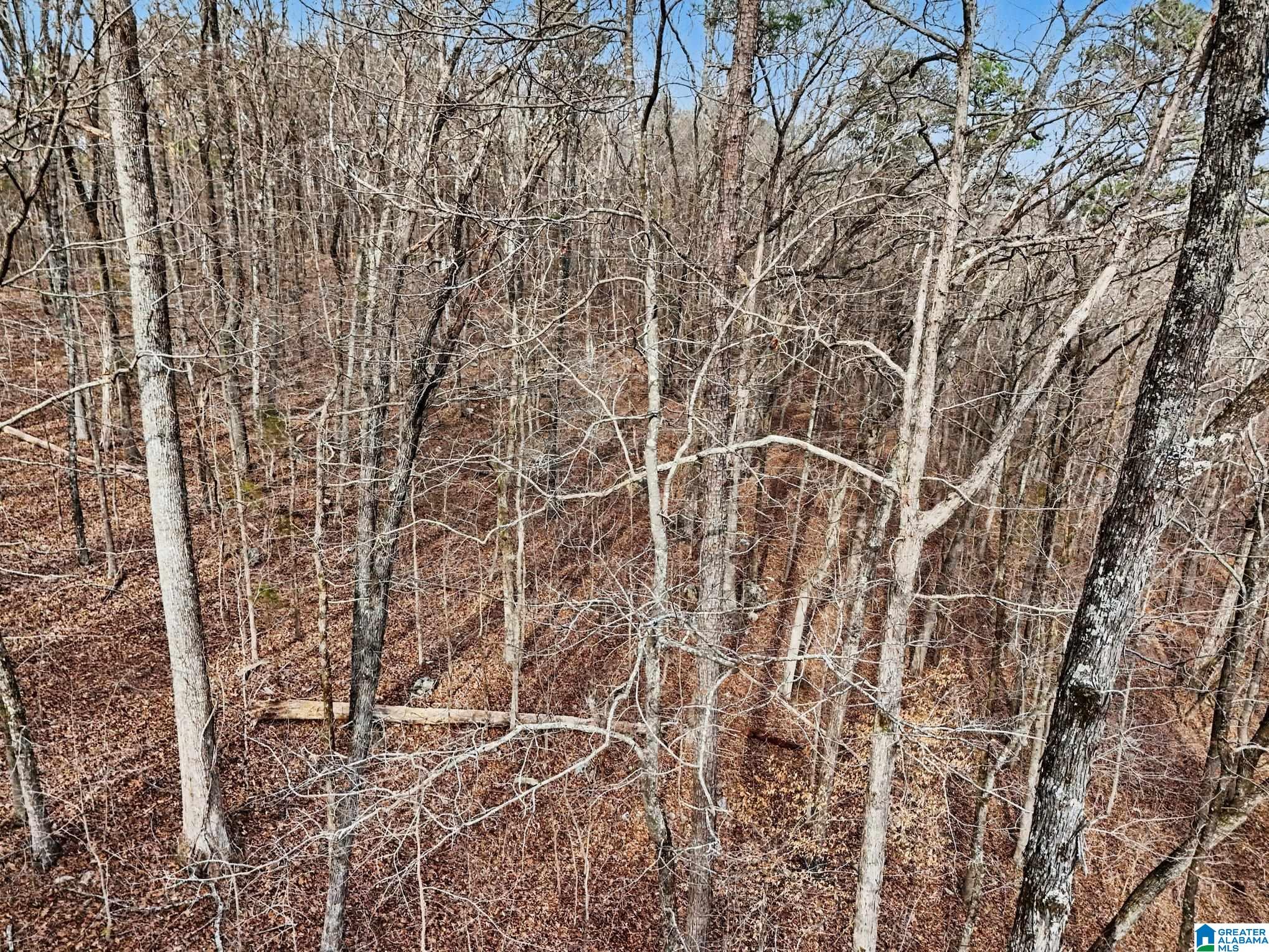 Homes for sale in Pinson, AL | 7296 Goodner Mountain Road, Pinson, AL 35126 | MLS# 21444783