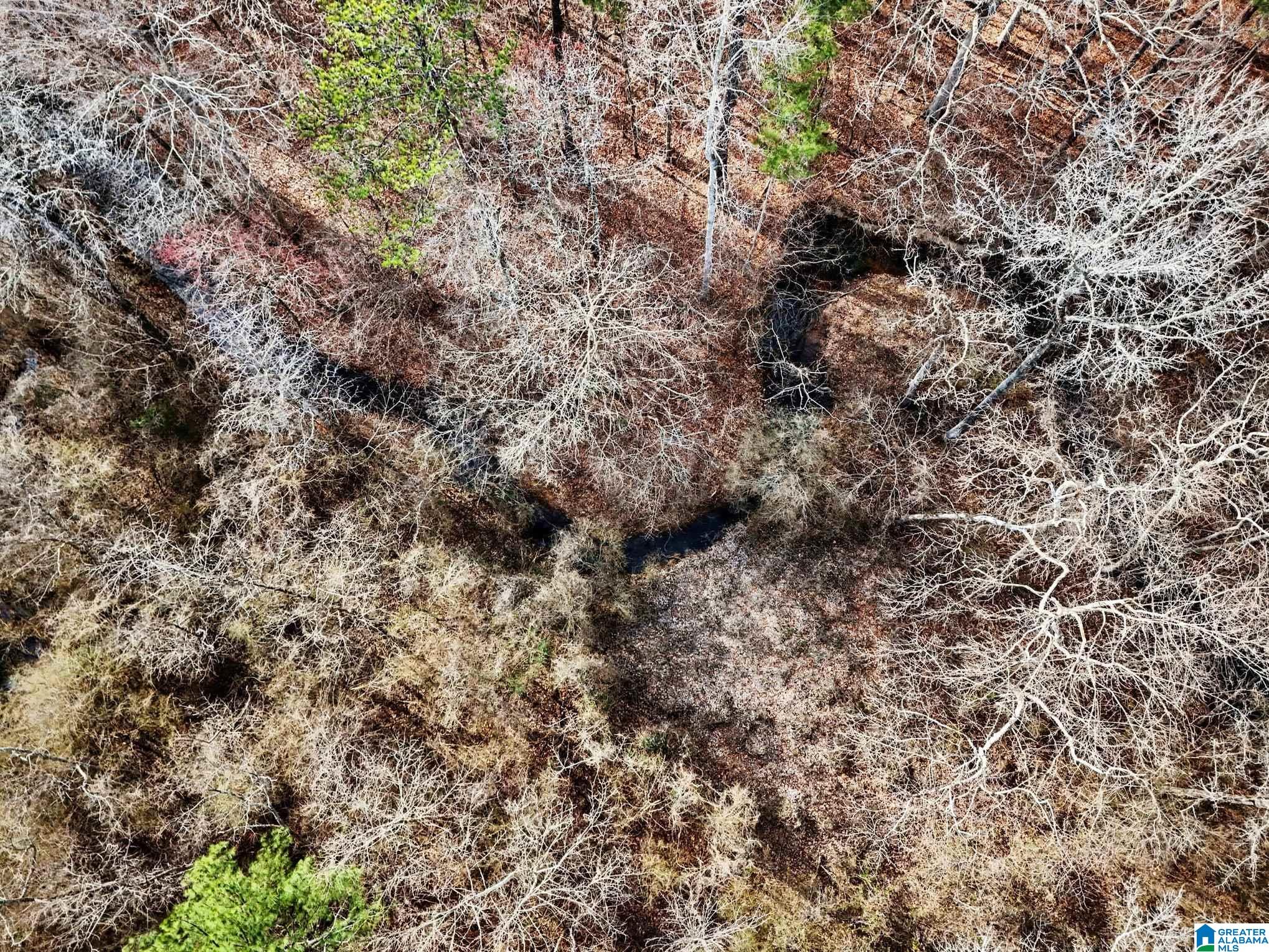 Homes for sale in Pinson, AL | 7296 Goodner Mountain Road, Pinson, AL 35126 | MLS# 21444783