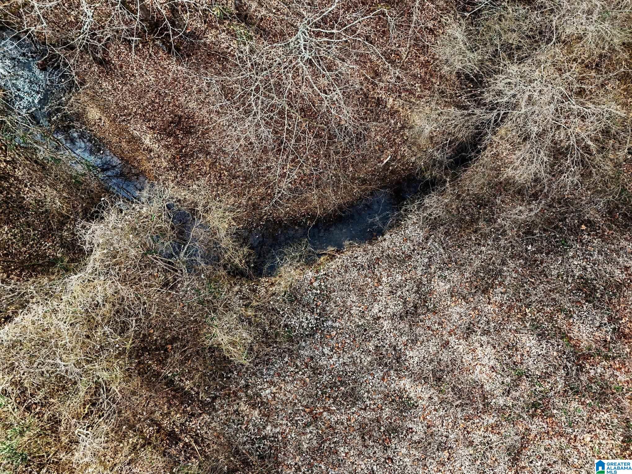 Homes for sale in Pinson, AL | 7296 Goodner Mountain Road, Pinson, AL 35126 | MLS# 21444783