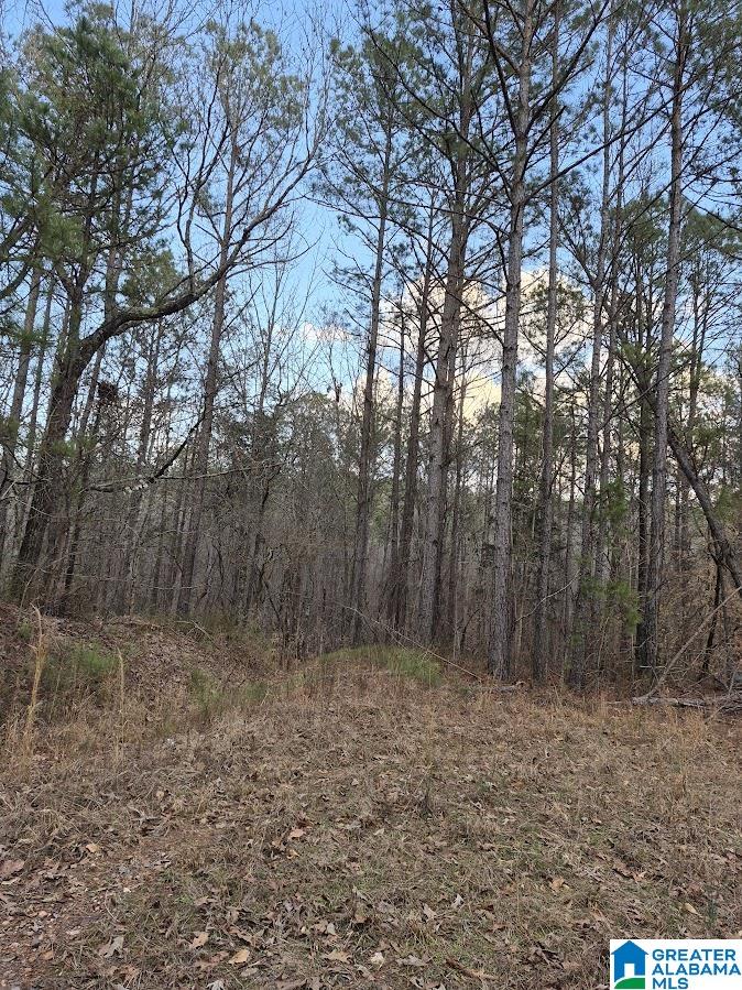 Homes for sale in Wedowee, AL | 00 Lane Branch Road, Wedowee, AL 36278 | MLS# 21444804