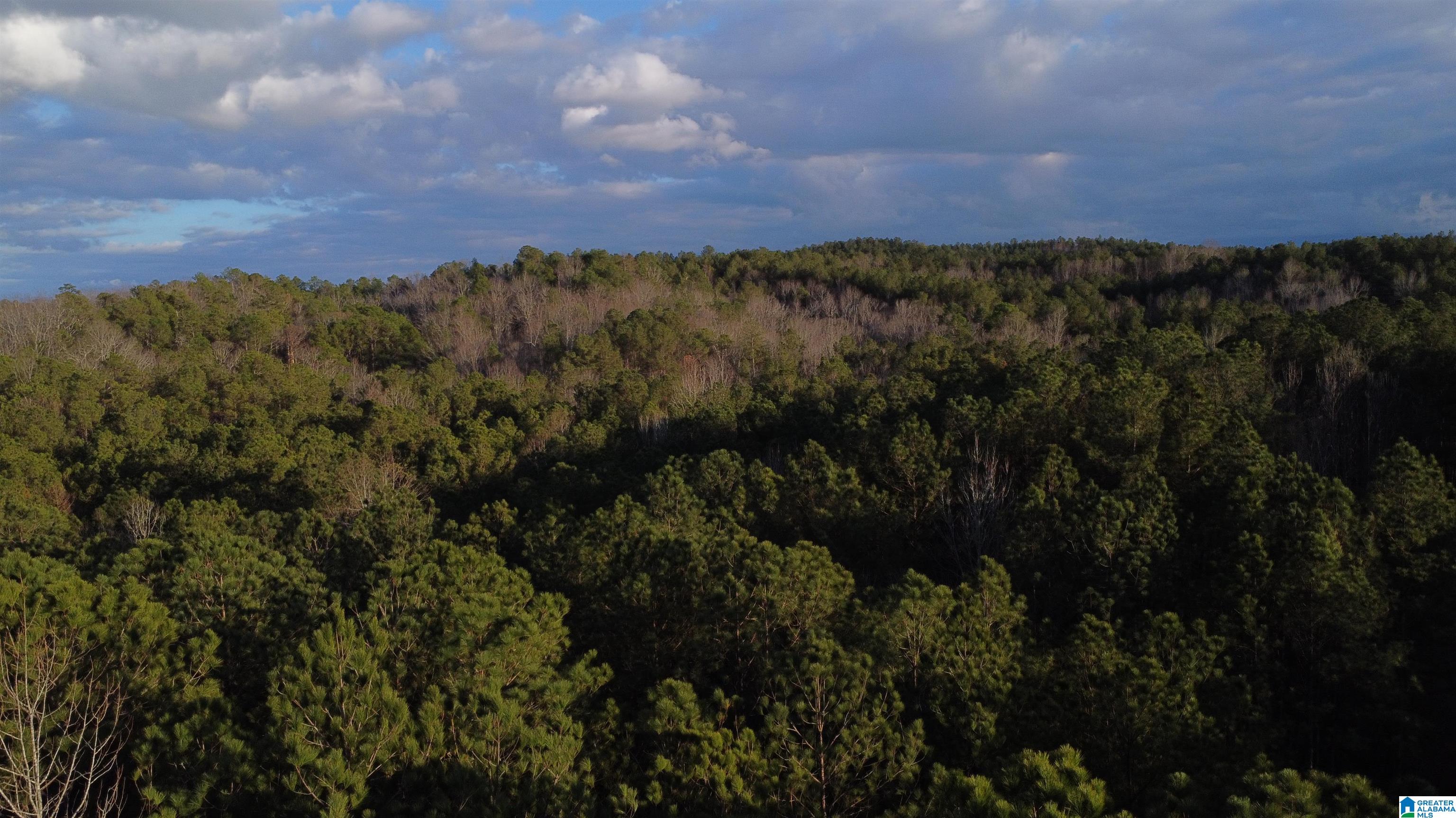 Homes for sale in Wedowee, AL | 00 Lane Branch Road, Wedowee, AL 36278 | MLS# 21444804