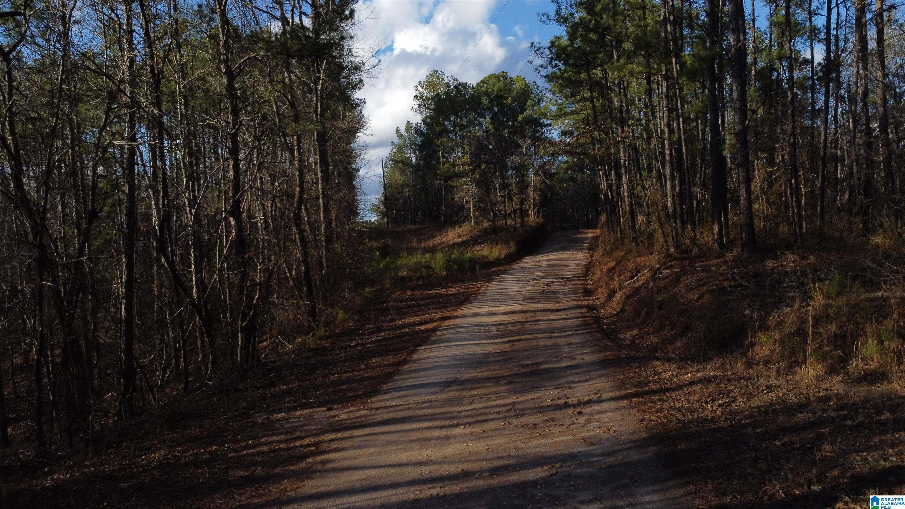 Homes for sale in Wedowee, AL | 00 Lane Branch Road, Wedowee, AL 36278 | MLS# 21444804