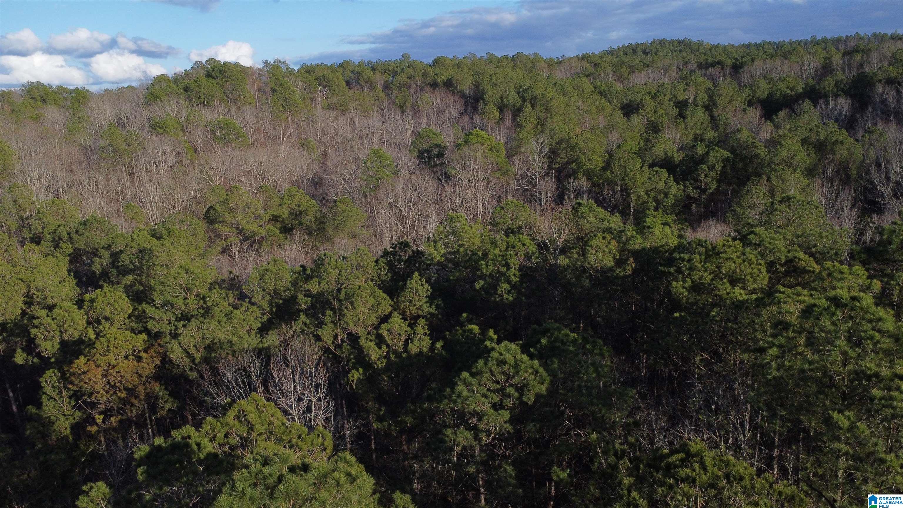 Homes for sale in Wedowee, AL | 00 Lane Branch Road, Wedowee, AL 36278 | MLS# 21444804