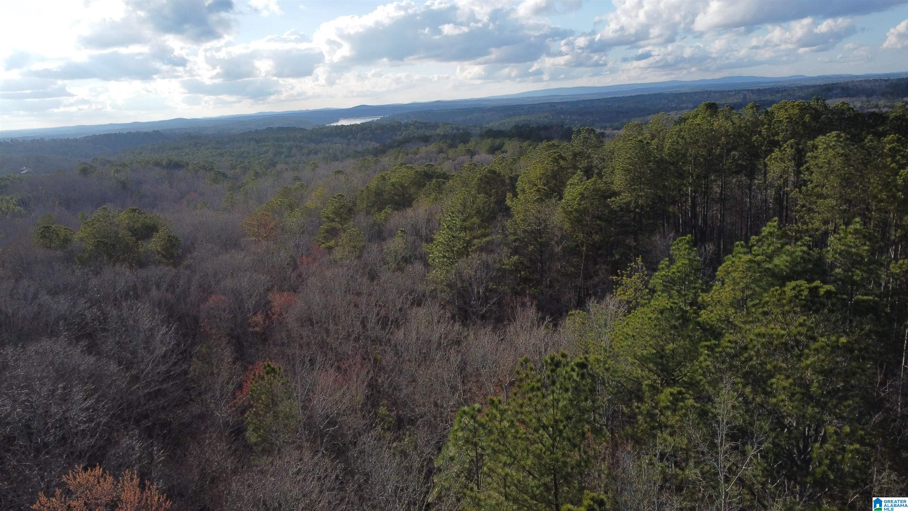 Homes for sale in Wedowee, AL | 00 Lane Branch Road, Wedowee, AL 36278 | MLS# 21444804