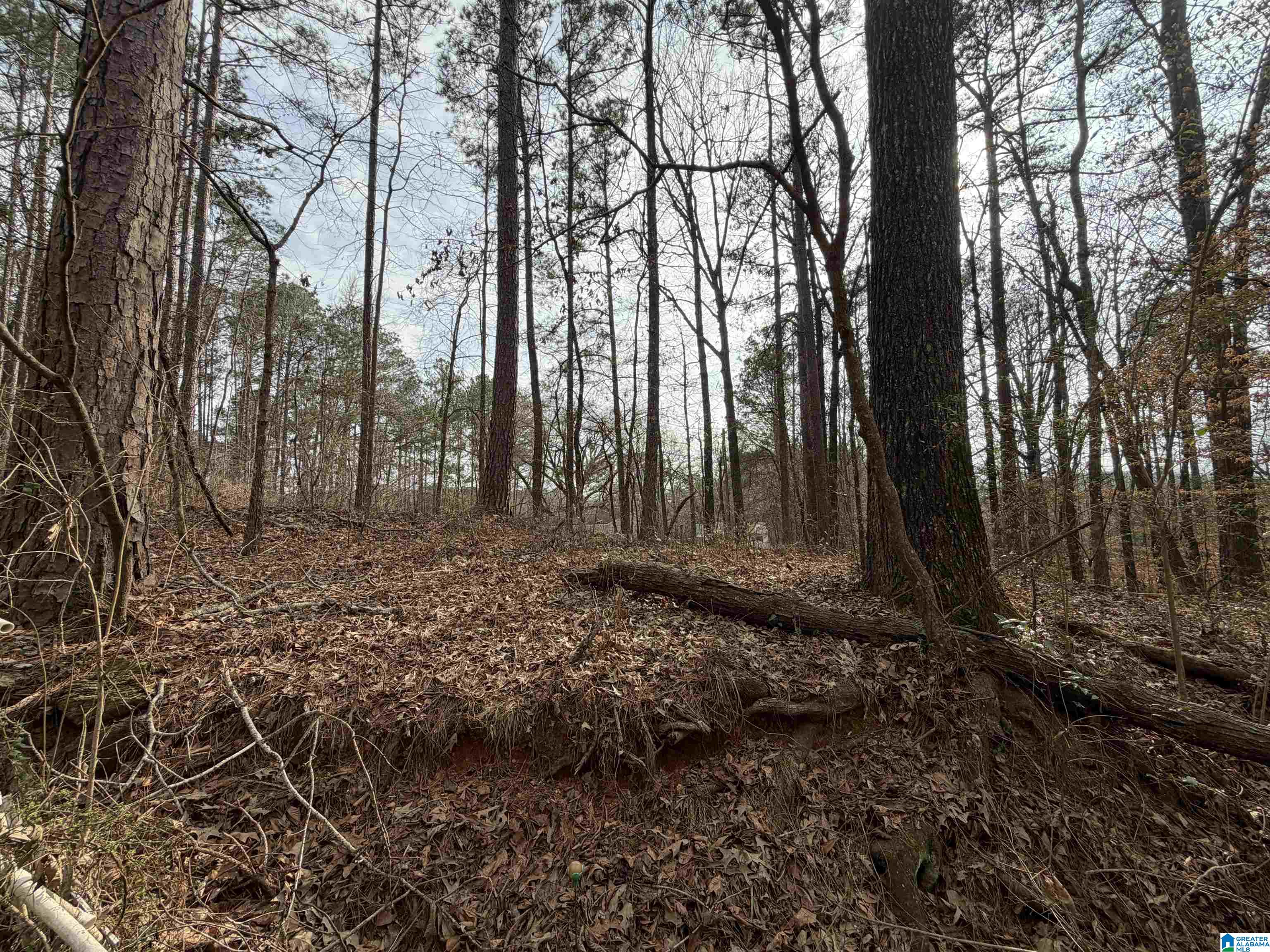 Homes for sale in Jacksons Gap (jacksons G), AL | 1069 Midway Road, Jacksons Gap (jacksons G), AL 36861 | MLS# 21444808