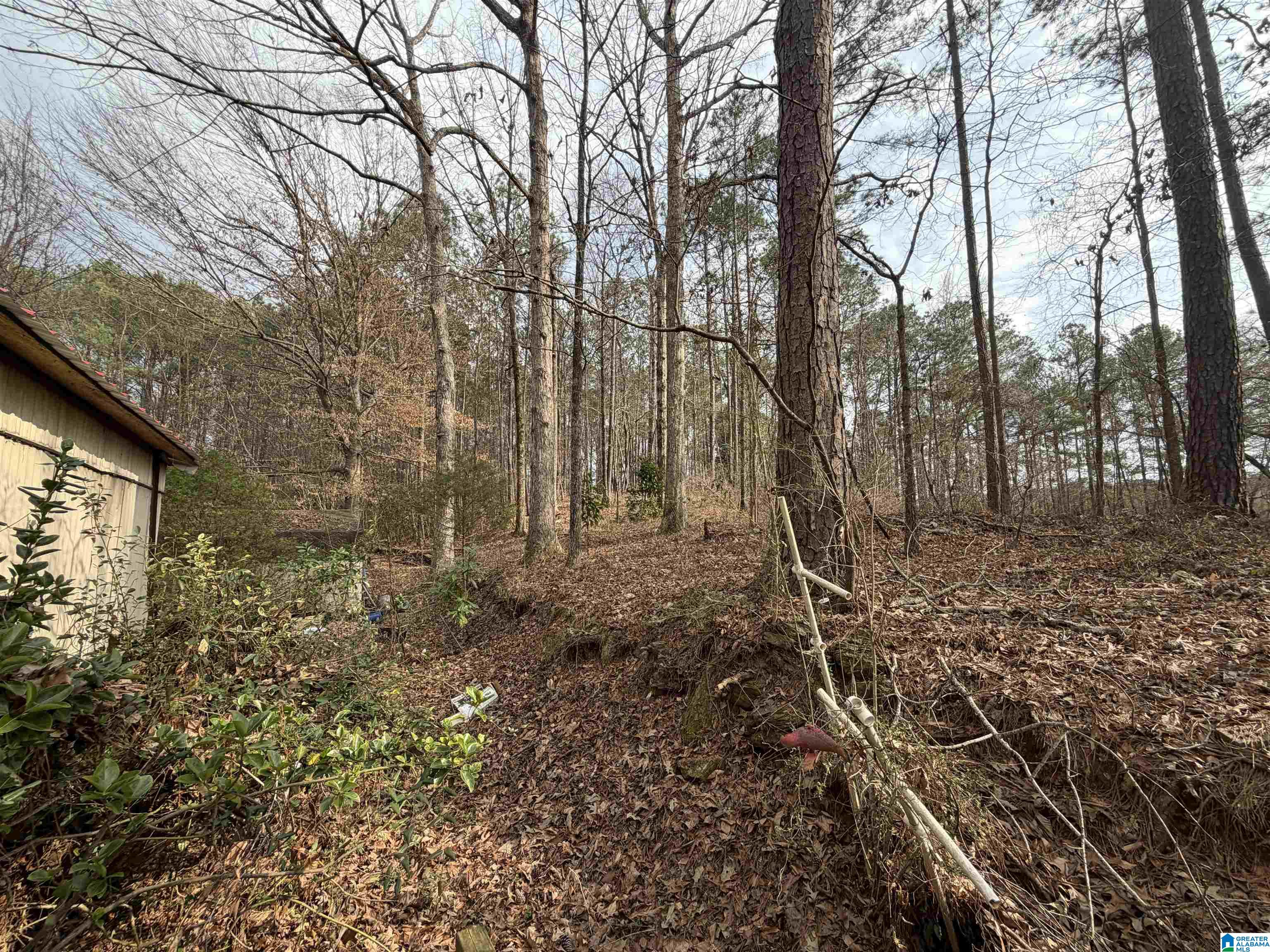 Homes for sale in Jacksons Gap (jacksons G), AL | 1069 Midway Road, Jacksons Gap (jacksons G), AL 36861 | MLS# 21444808