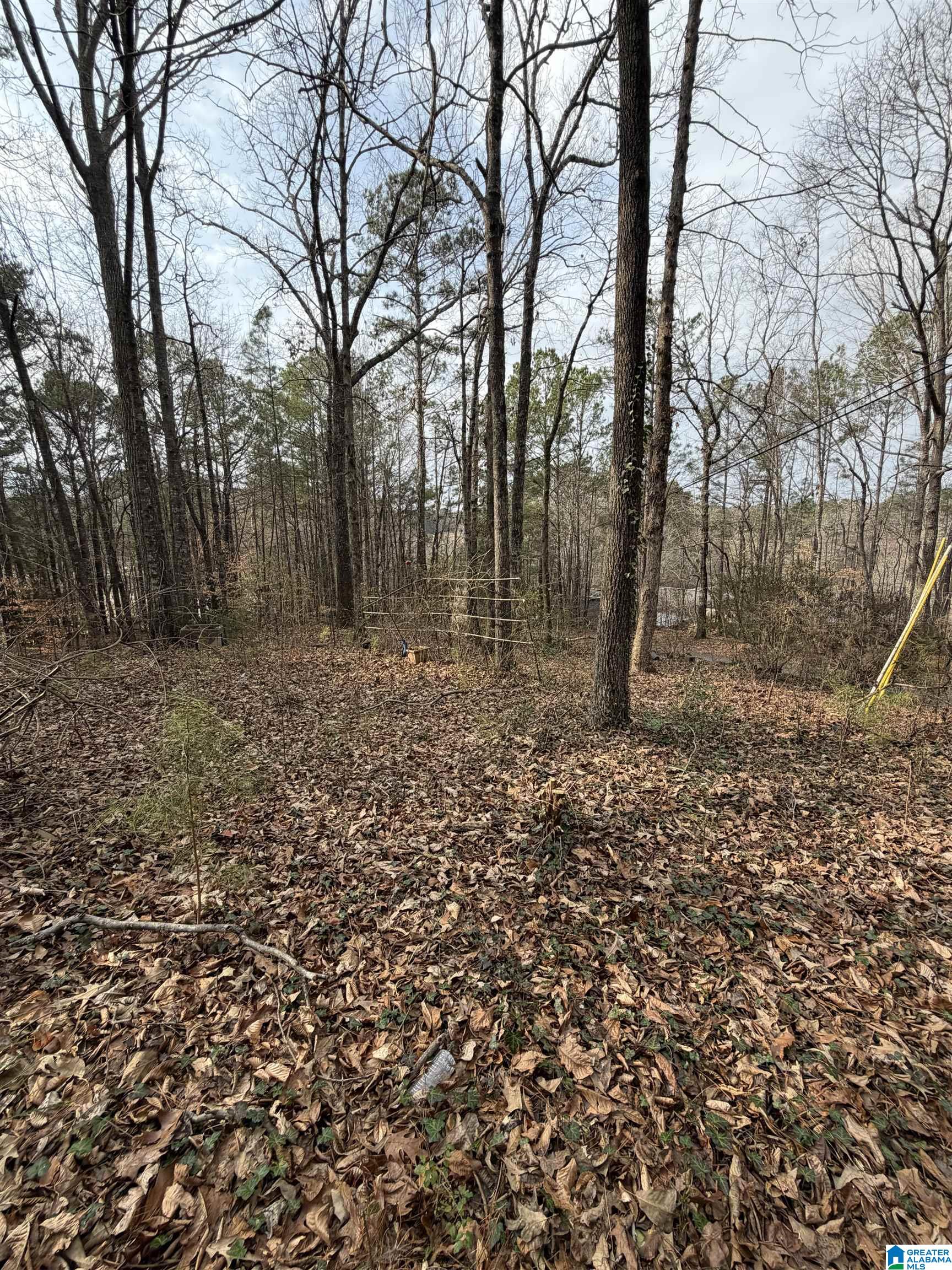 Homes for sale in Jacksons Gap (jacksons G), AL | 1069 Midway Road, Jacksons Gap (jacksons G), AL 36861 | MLS# 21444808