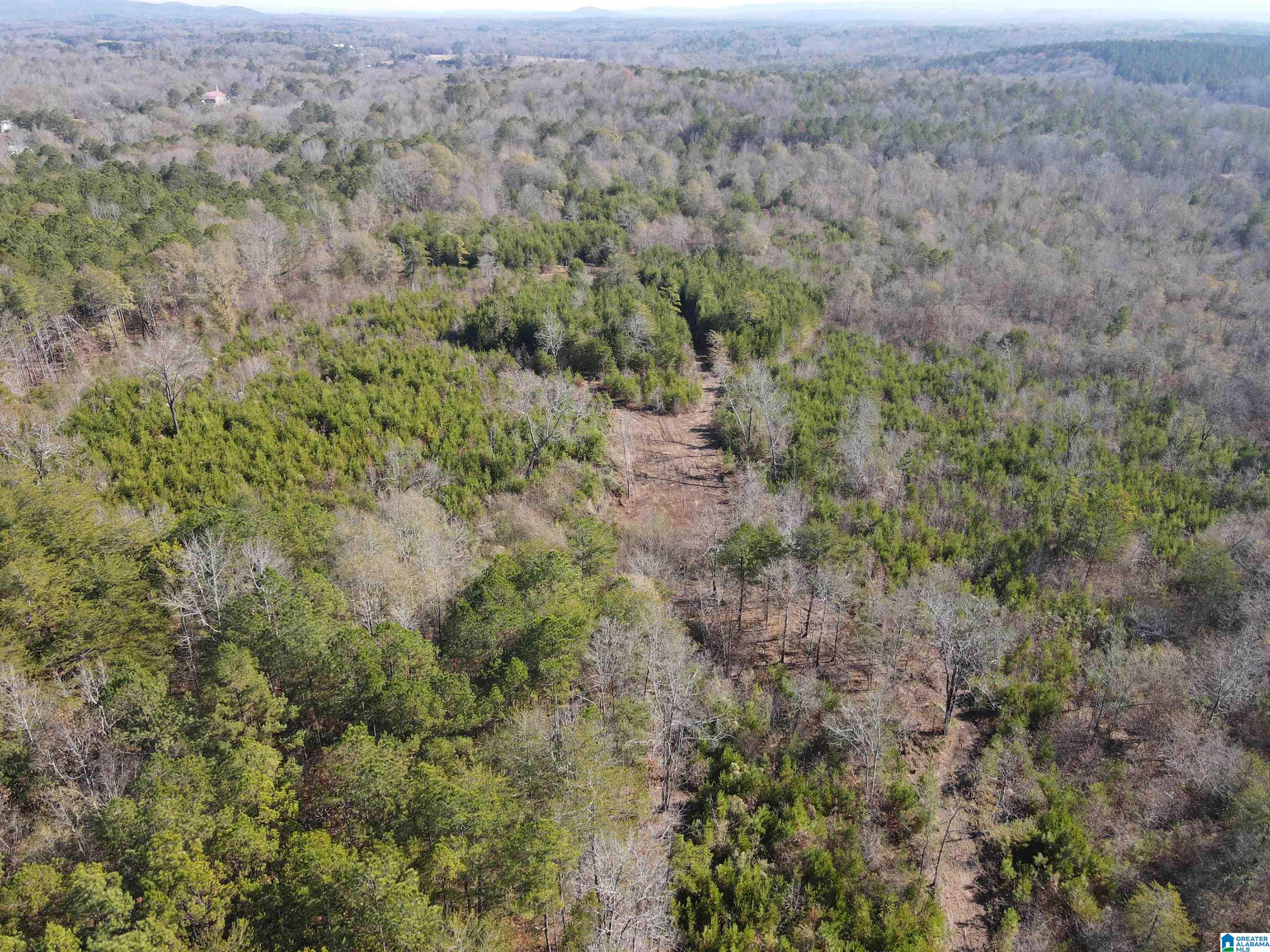 Homes for sale in Eastaboga, AL | 0 Cunningham Lane, Eastaboga, AL 36260 | MLS# 21444817