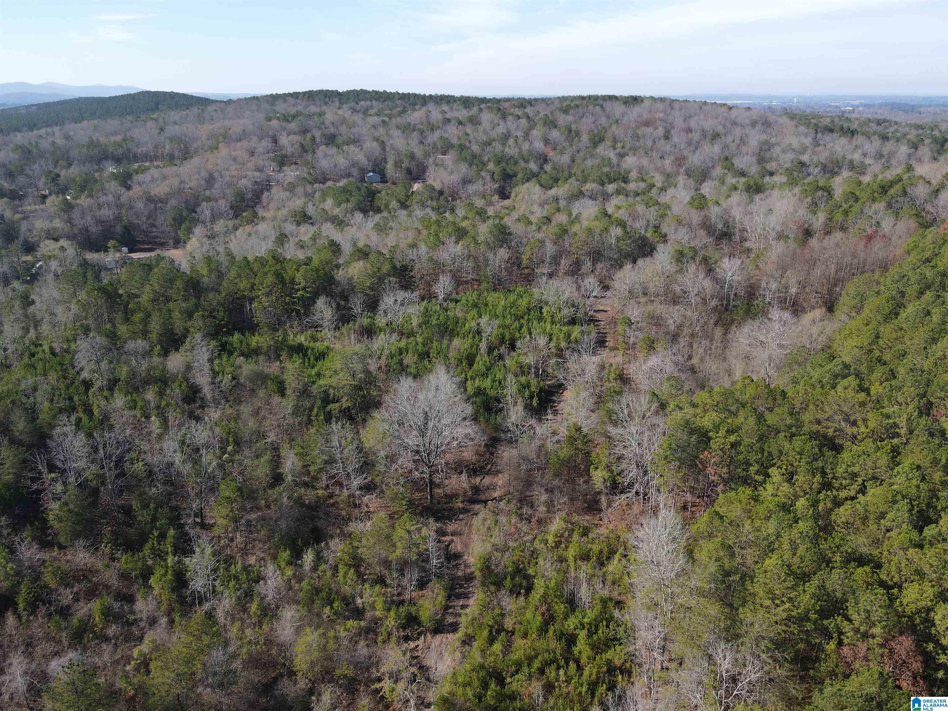 Homes for sale in Eastaboga, AL | 0 Cunningham Lane, Eastaboga, AL 36260 | MLS# 21444817