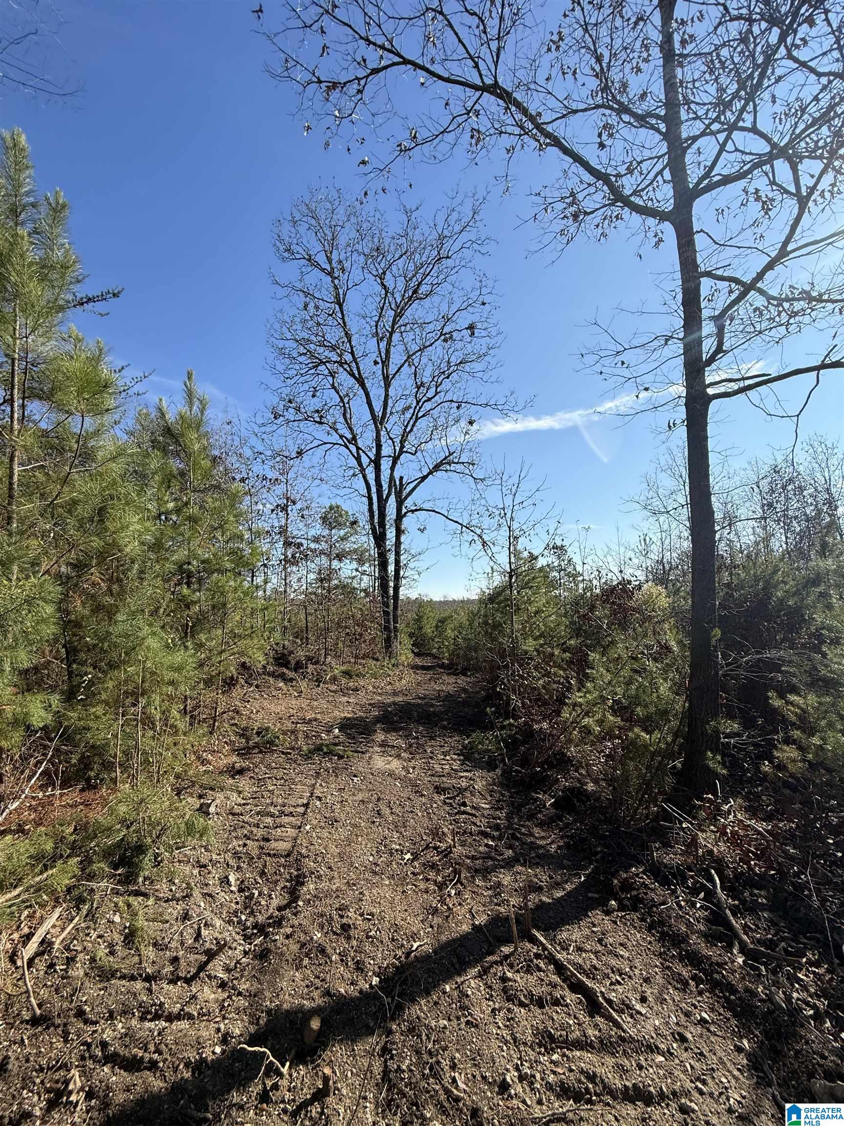 Homes for sale in Eastaboga, AL | 0 Cunningham Lane, Eastaboga, AL 36260 | MLS# 21444817