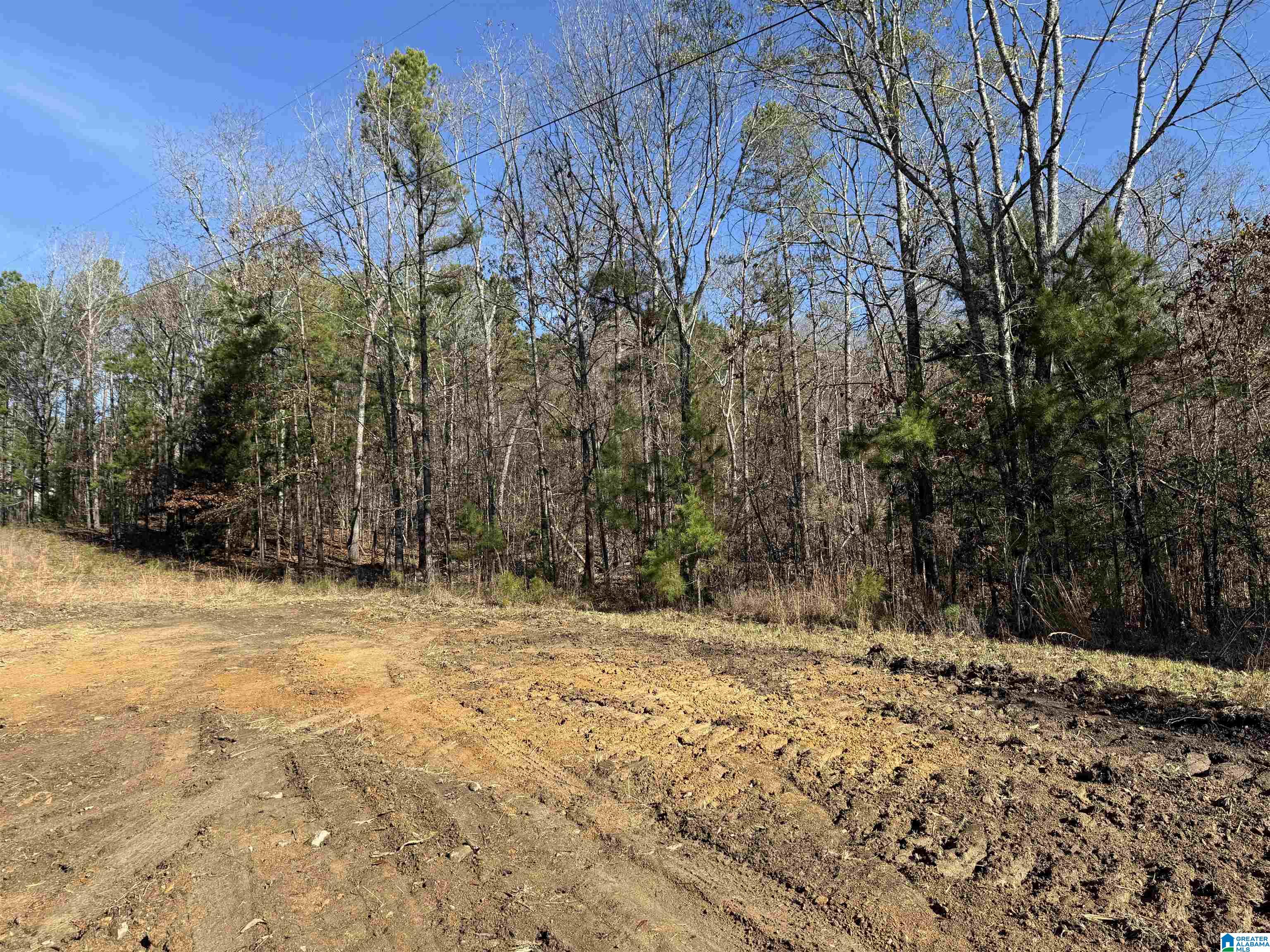 Homes for sale in Eastaboga, AL | 0 Cunningham Lane, Eastaboga, AL 36260 | MLS# 21444817