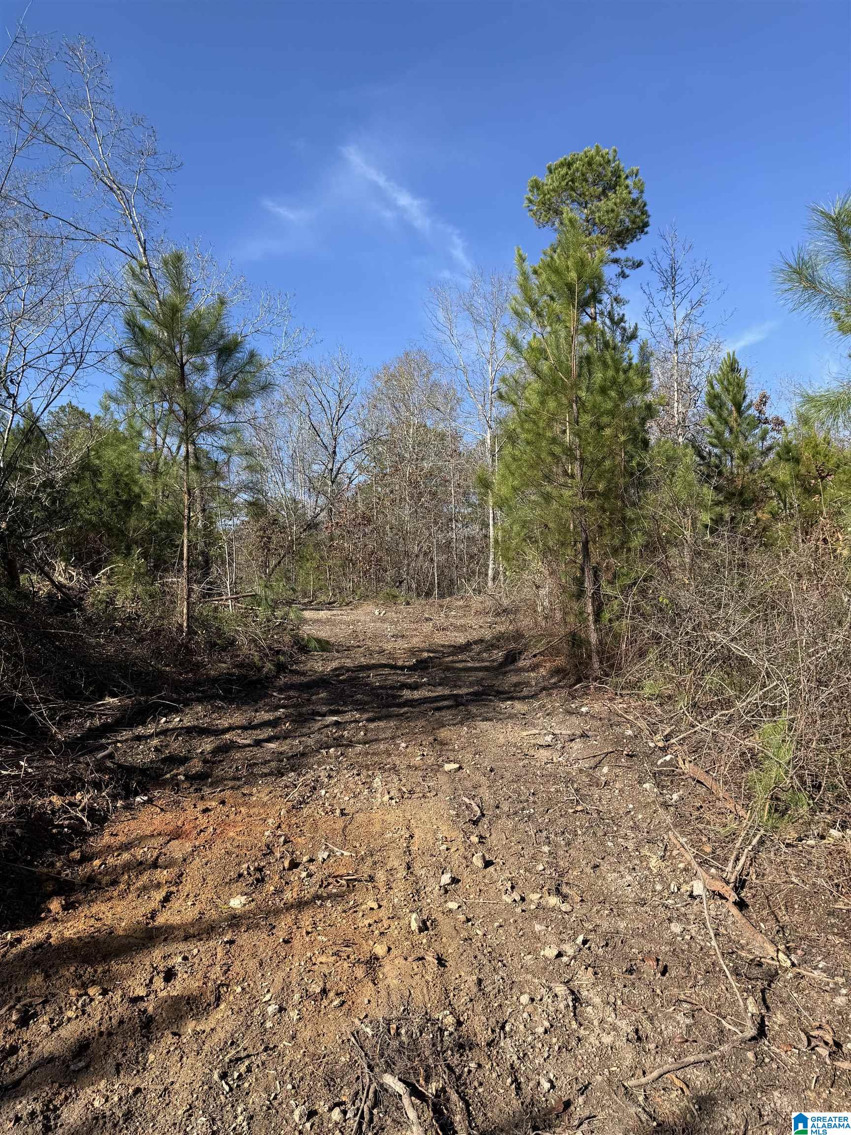 Homes for sale in Eastaboga, AL | 0 Cunningham Lane, Eastaboga, AL 36260 | MLS# 21444817