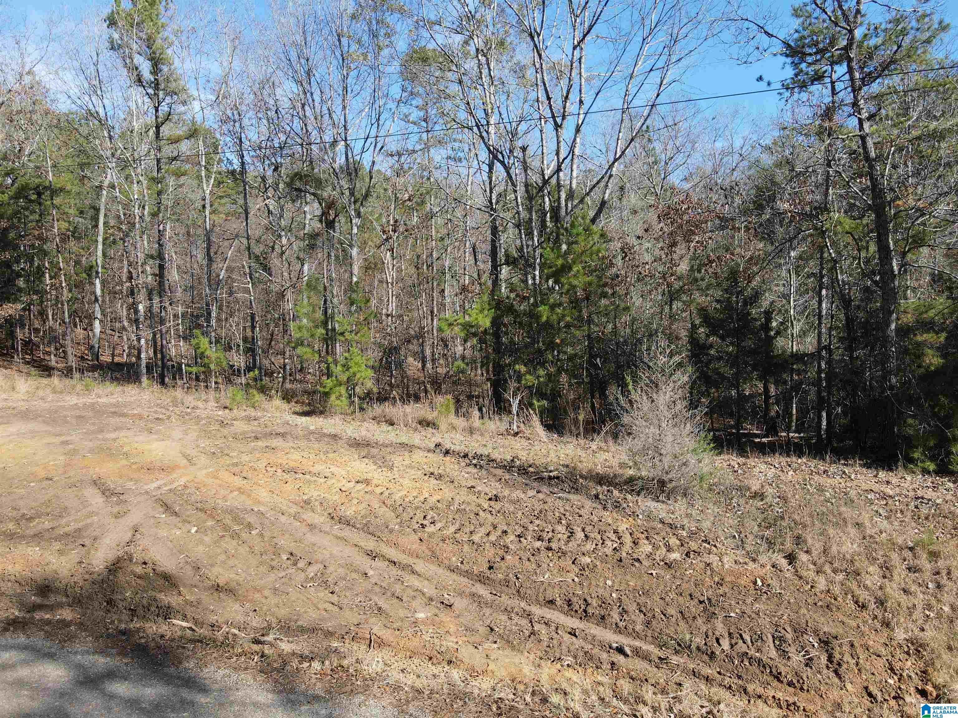 Homes for sale in Eastaboga, AL | 0 Cunningham Lane, Eastaboga, AL 36260 | MLS# 21444817