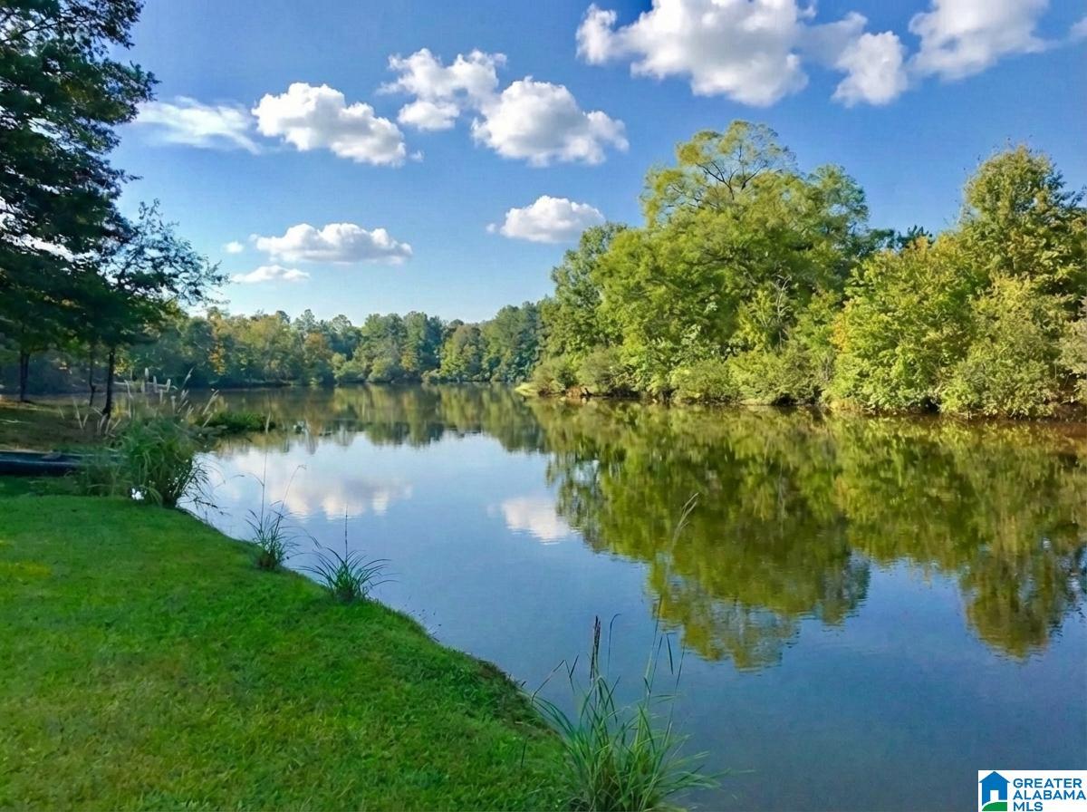 Homes for sale in Chelsea, AL | 78 Lake Kathryn Dr, Chelsea, AL 35043 | MLS# 21444848