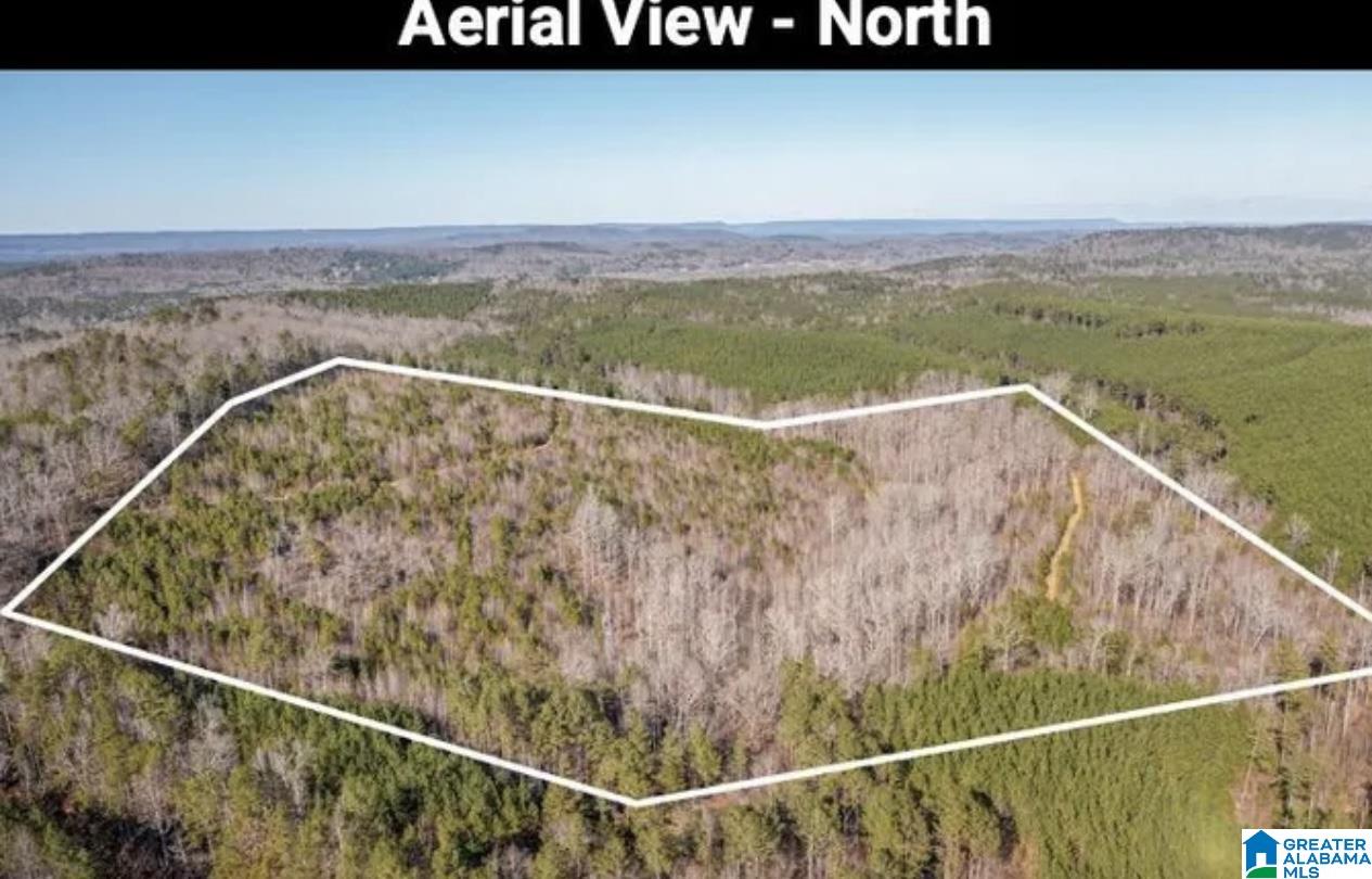 Homes for sale in Odenville, AL | 0 Pleasant Hill Road, Odenville, AL 35120 | MLS# 21444908